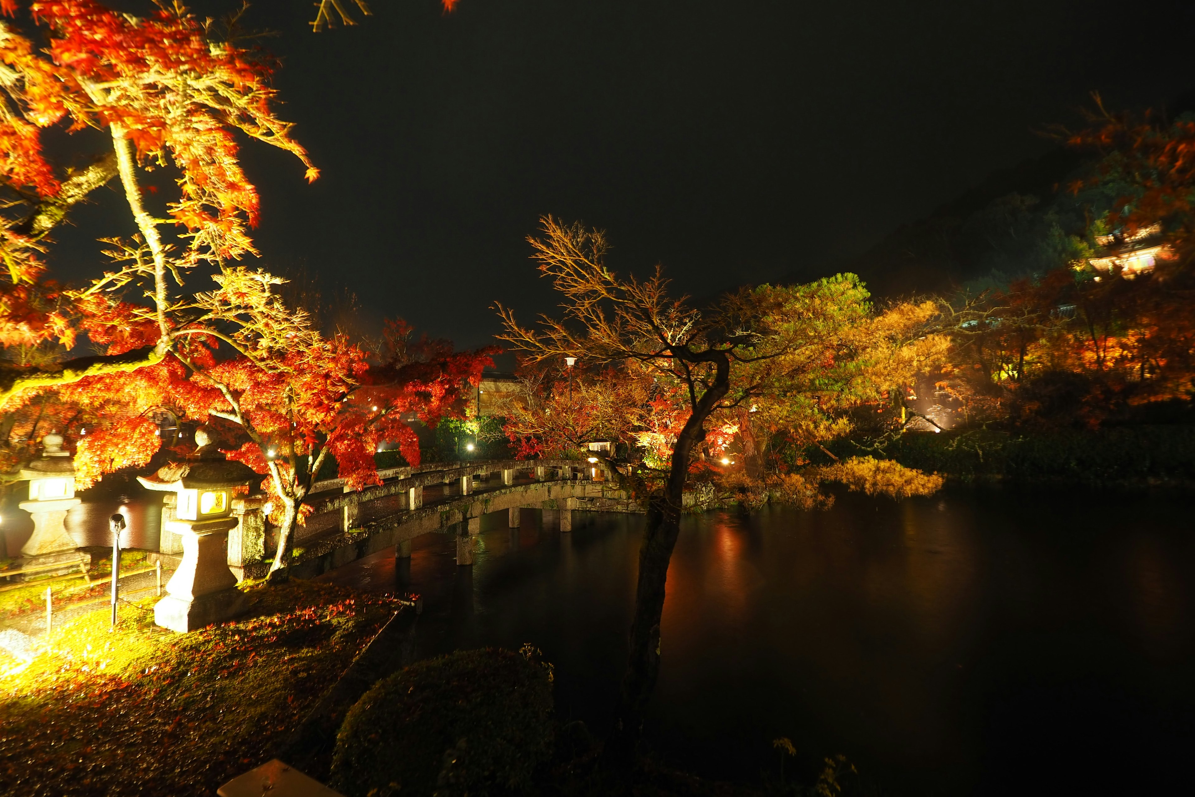 美麗的秋葉夜景在池塘旁