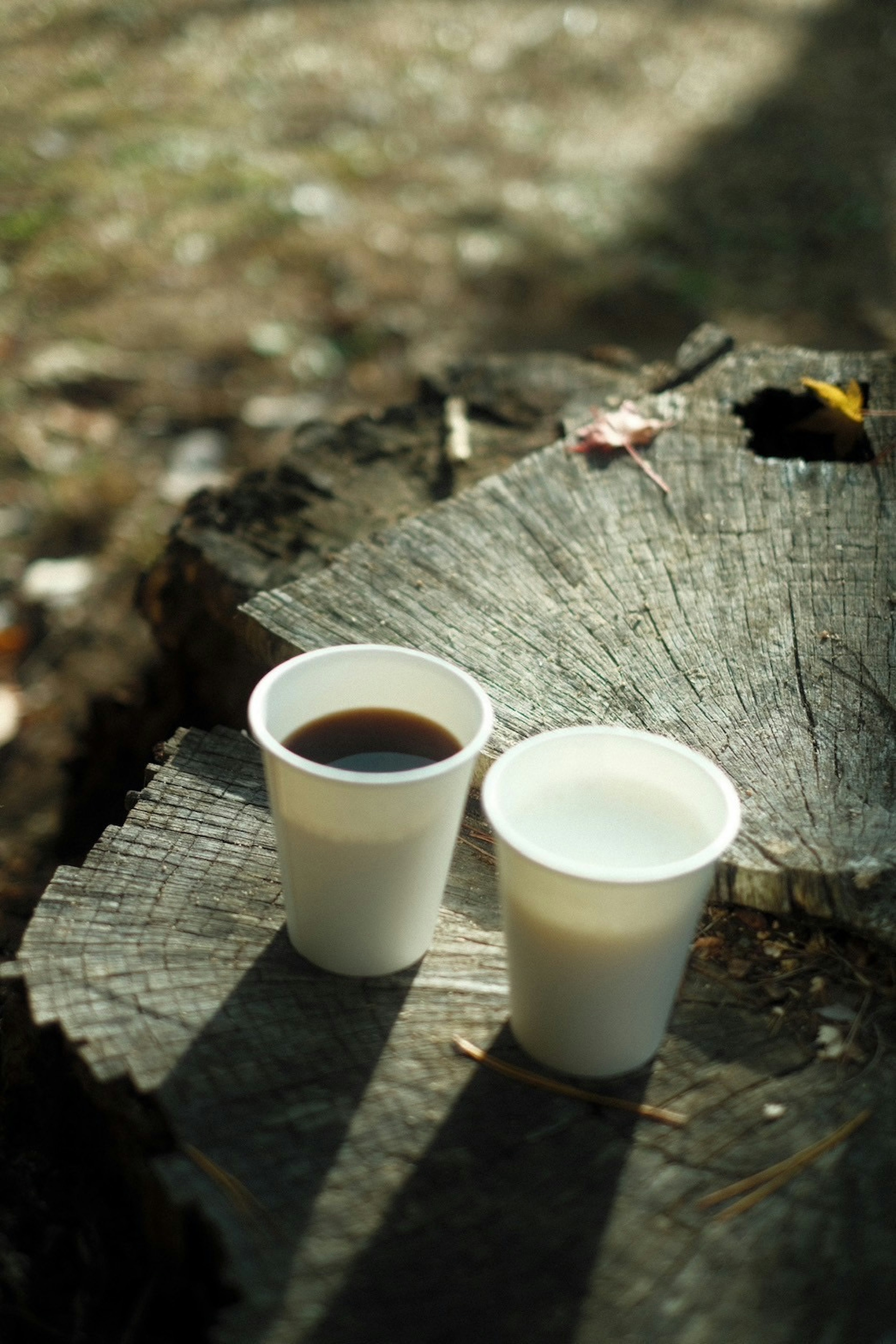 木の切り株の上に置かれたコーヒーとミルクのカップ