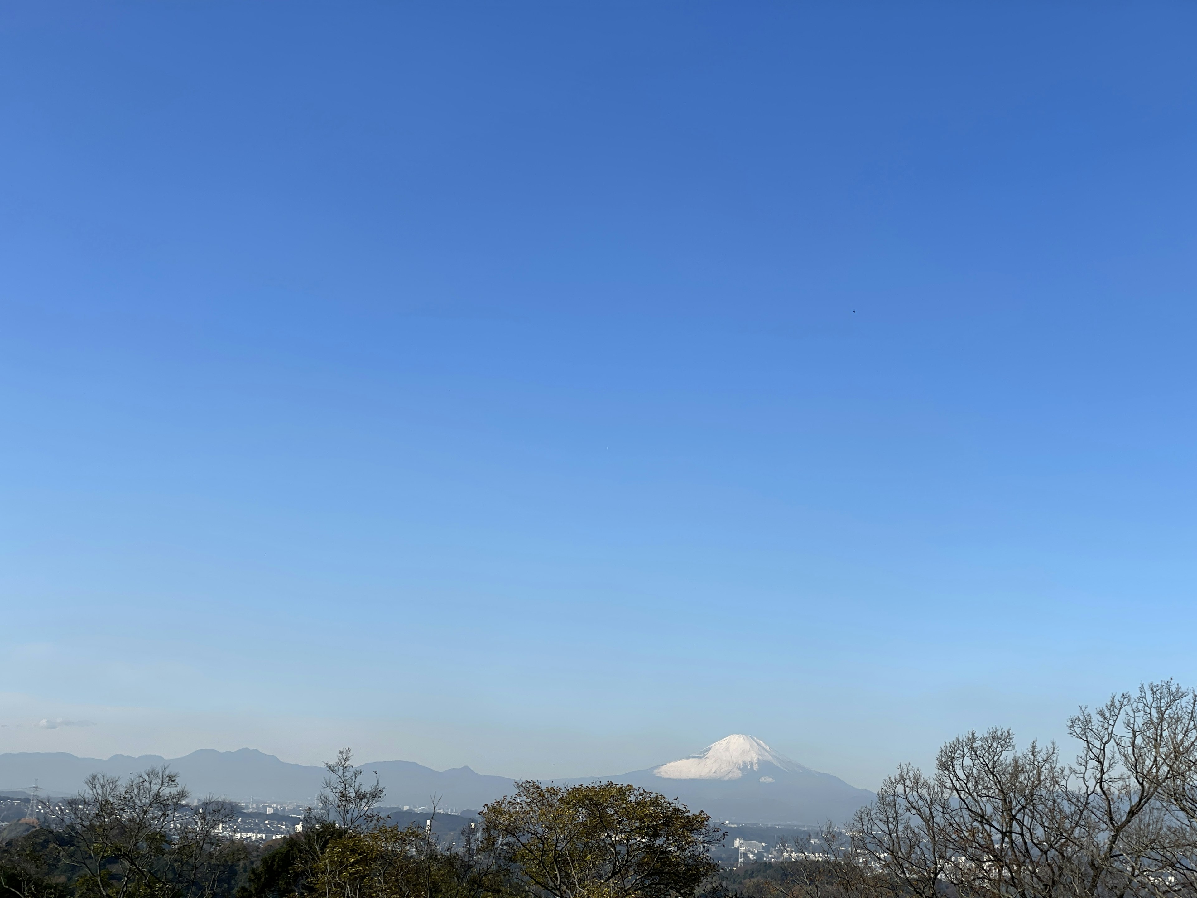 风景照片，背景是晴朗的蓝天和远处的山脉