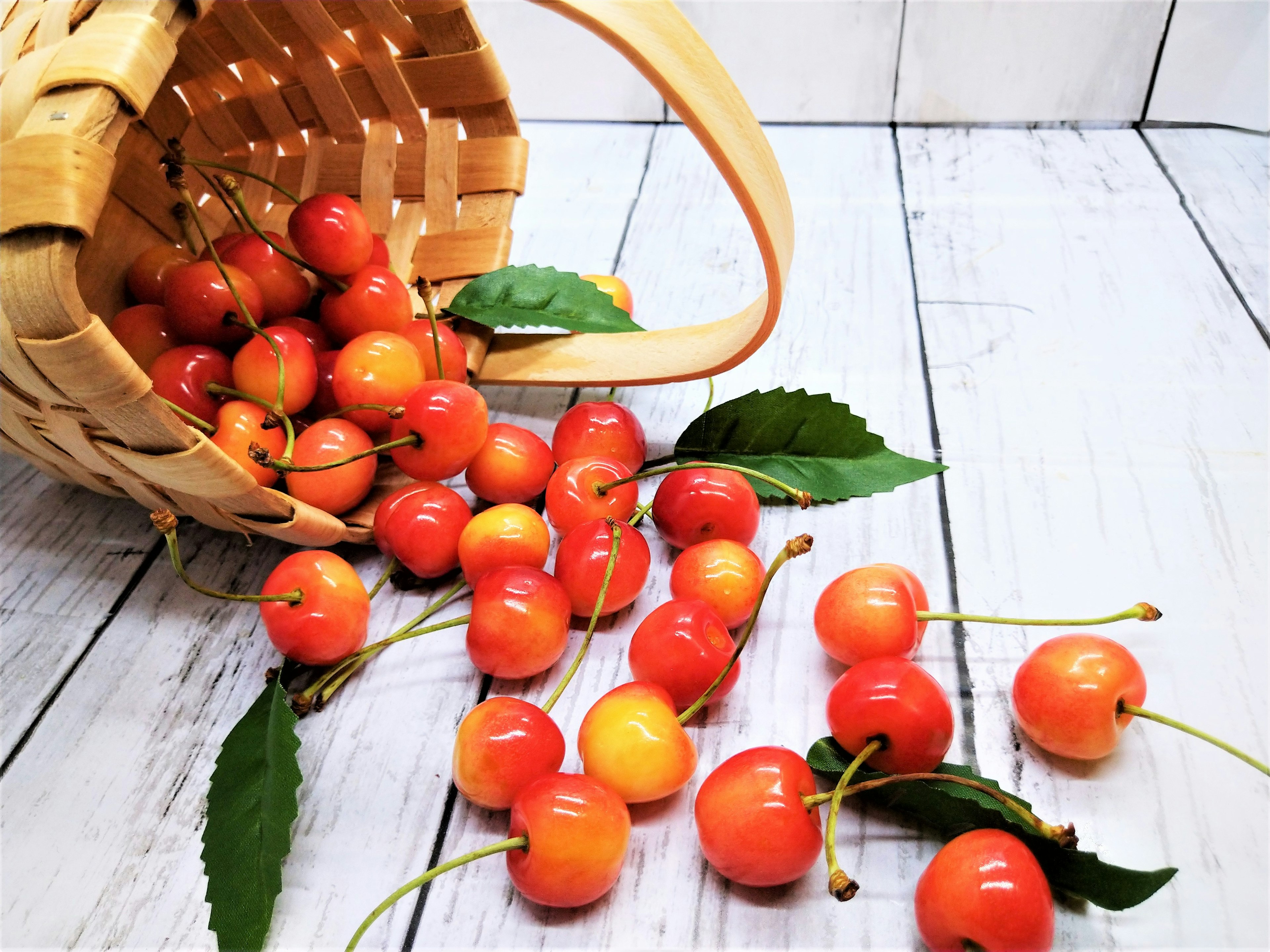 Rote und orange Kirschen, die aus einem Korb aus Weide mit grünen Blättern fallen