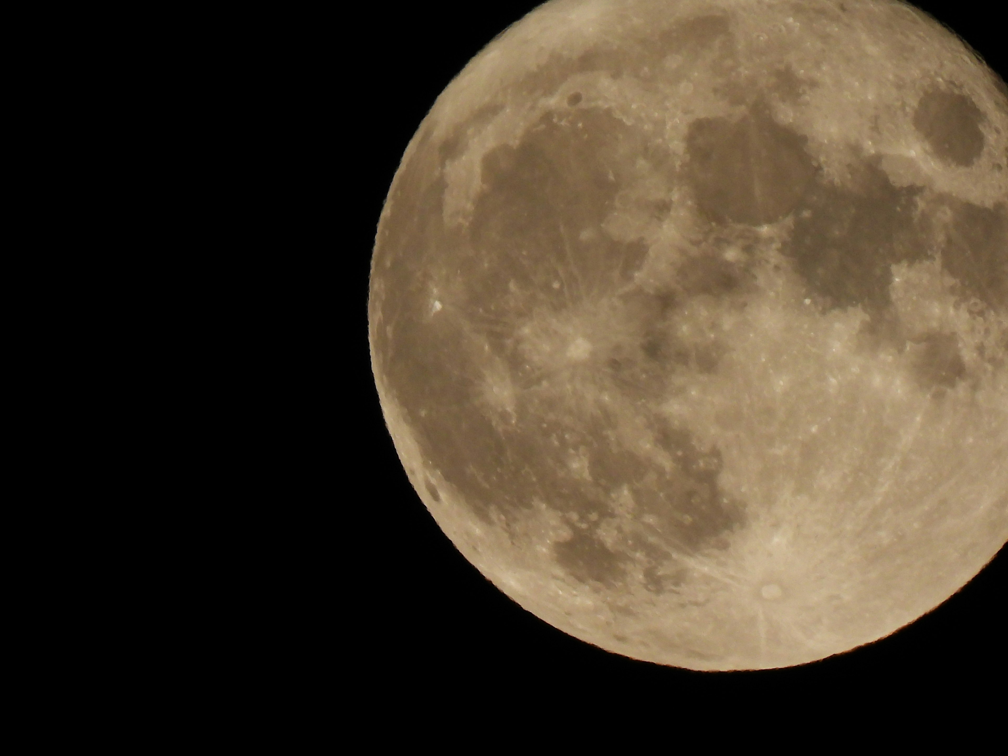 Close-up of the moon with detailed craters and surface features in bright beige tones