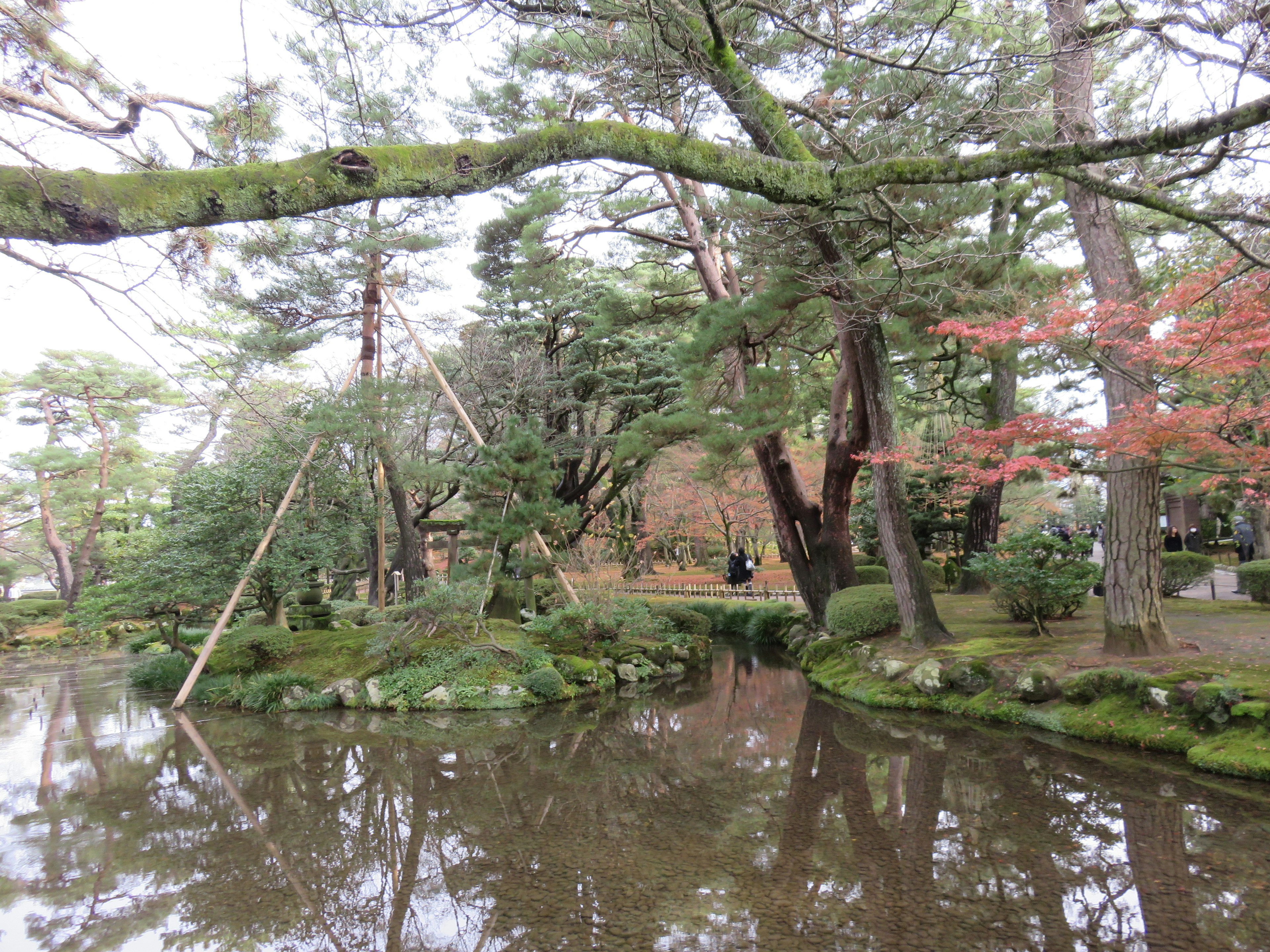 Scena di giardino giapponese sereno con alberi verdi e riflessi nello stagno una persona in lontananza