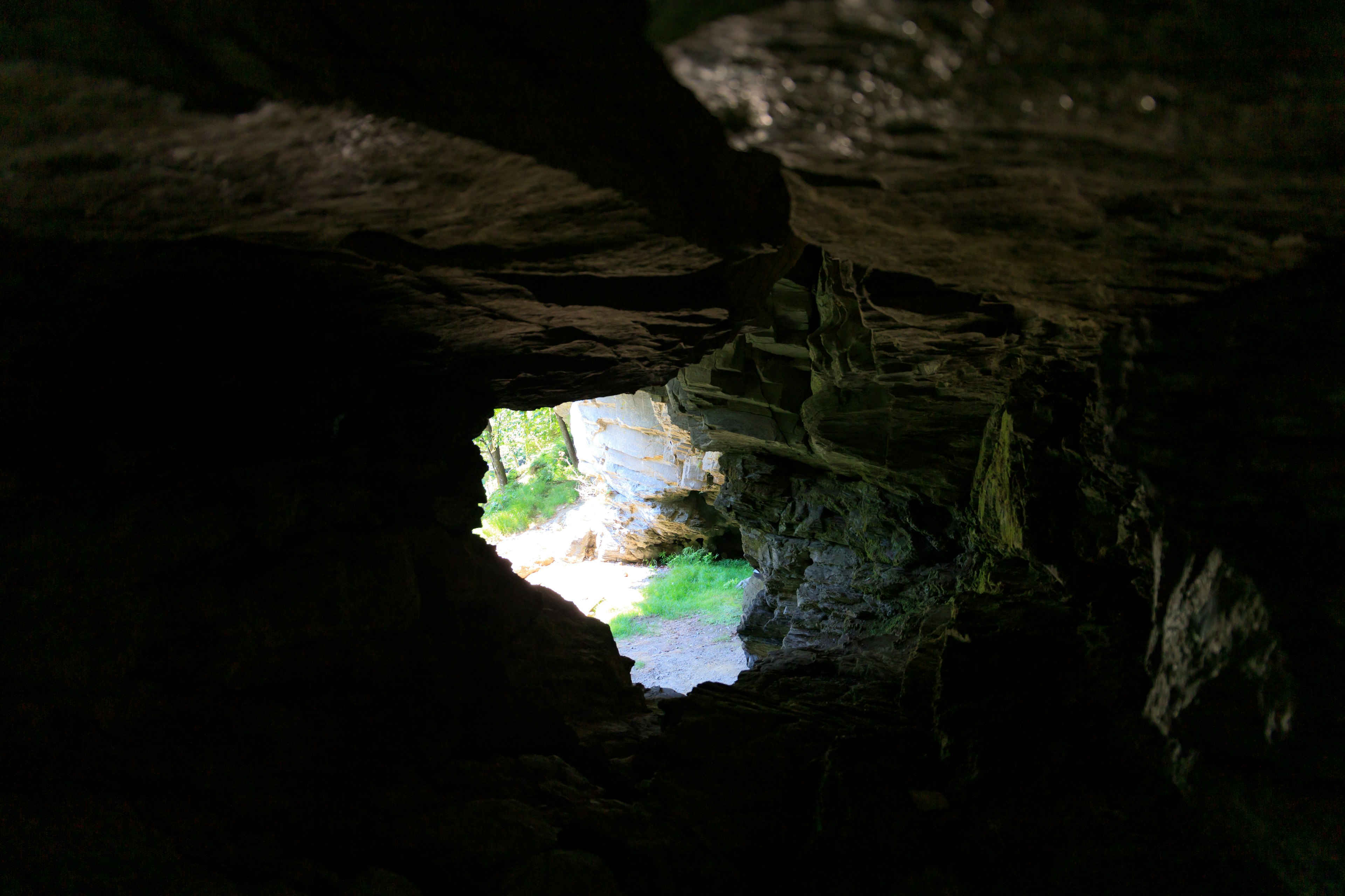 Vista di luce e vegetazione attraverso un'apertura nella grotta