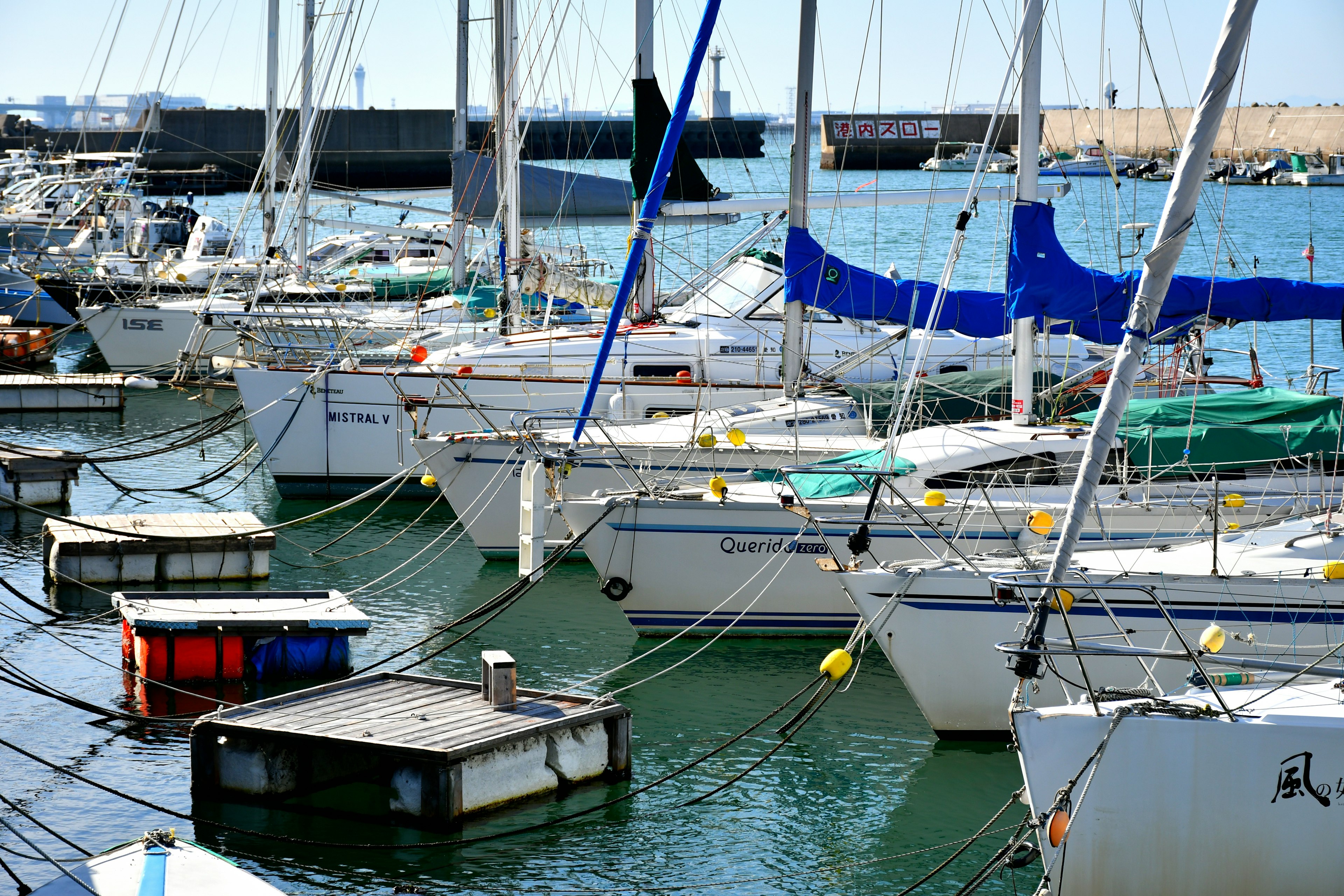 Blick auf weiße Segelboote im Hafen mit blauen Segeln