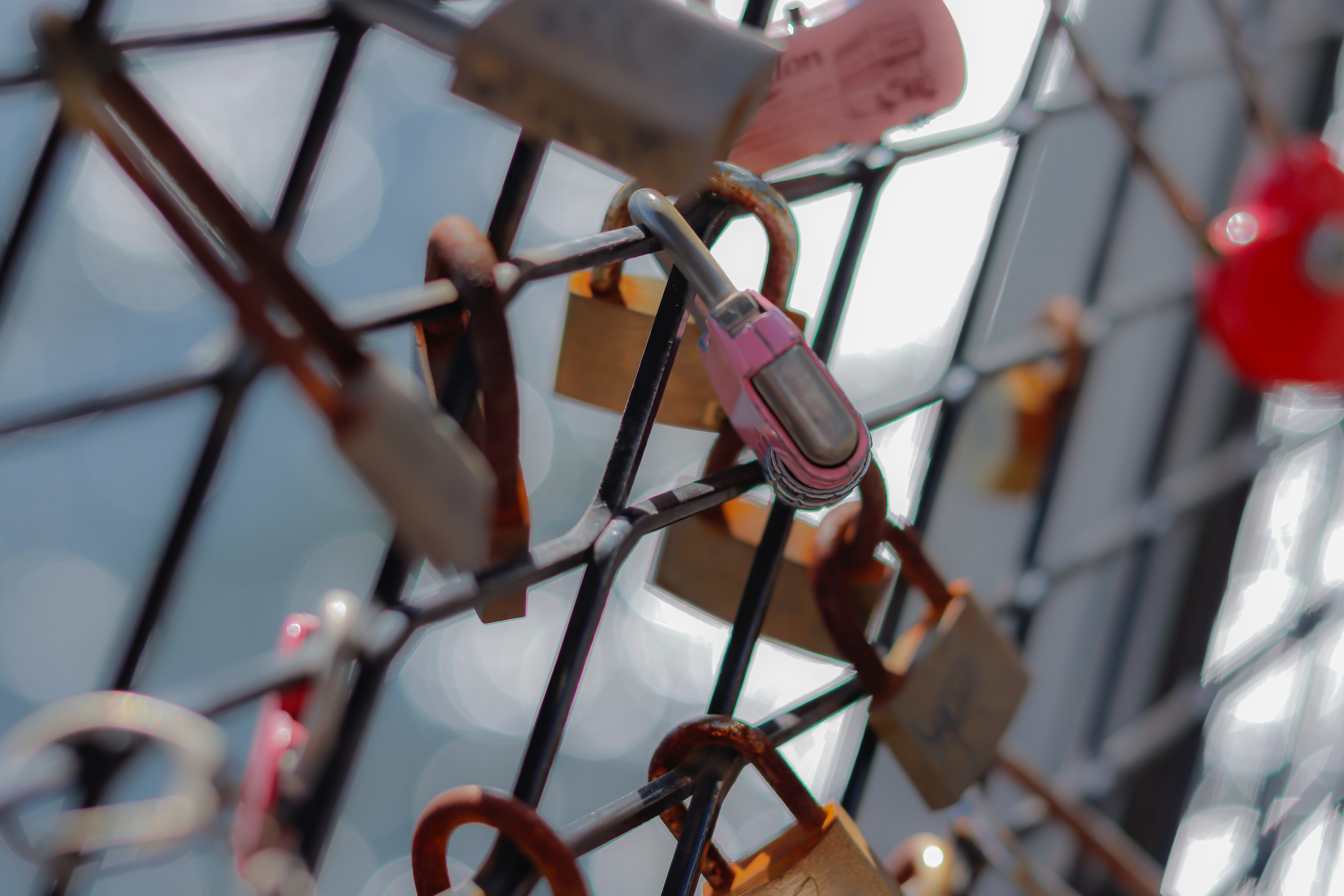 Close-up of various colored padlocks hanging on a fence