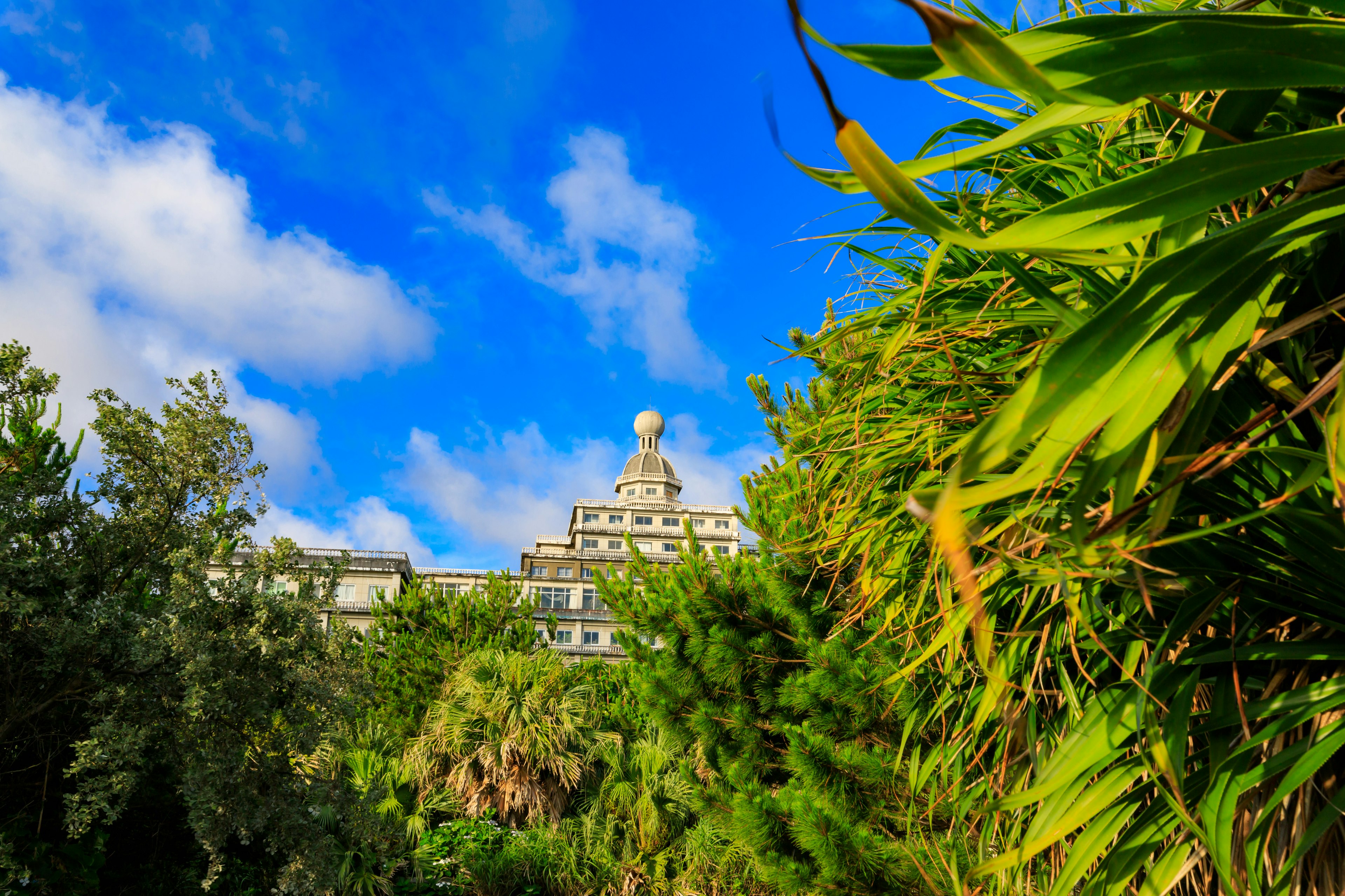 Un edificio majestuoso bajo un cielo azul rodeado de exuberante vegetación