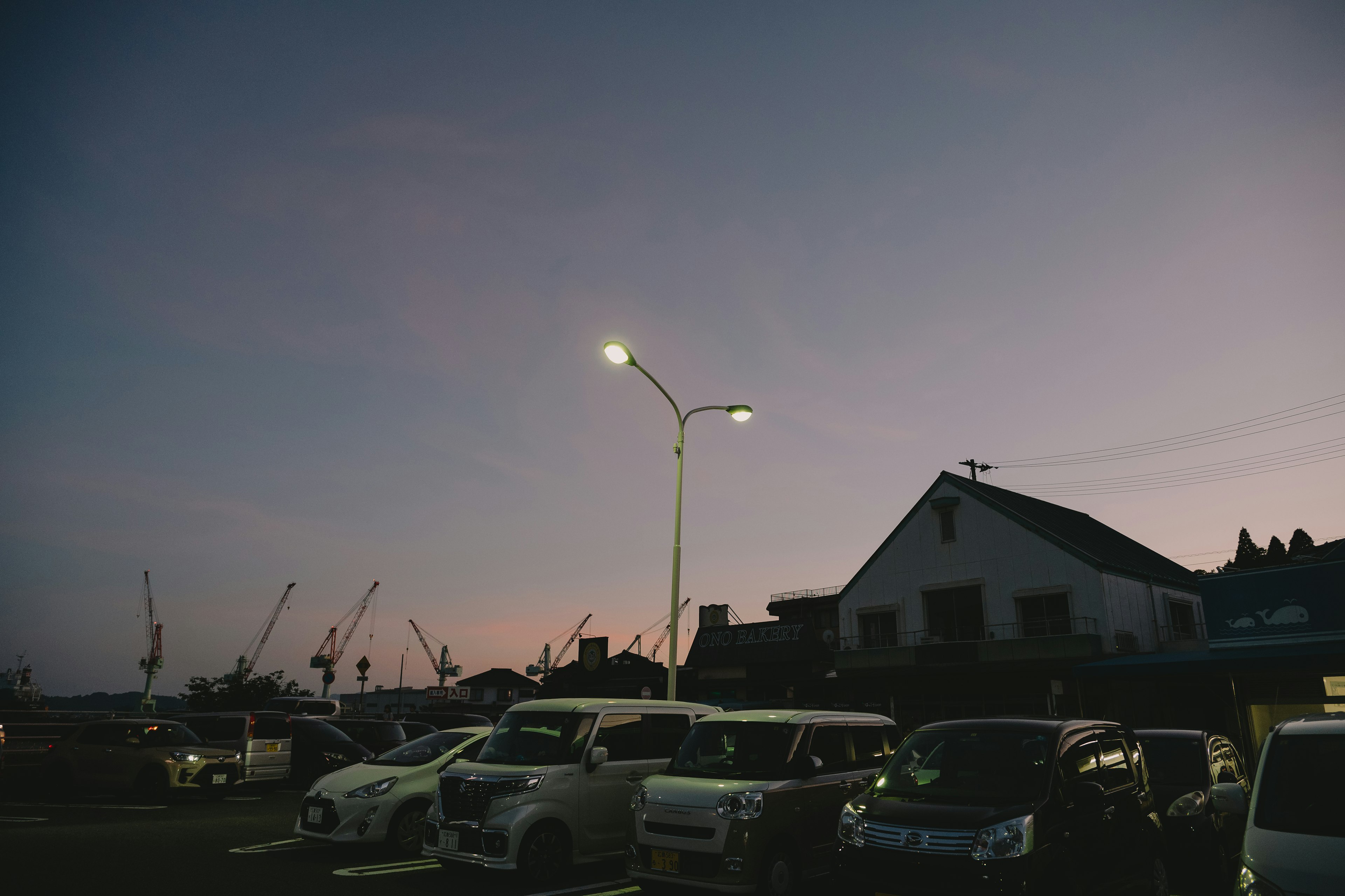 夕暮れ時の駐車場に並ぶ車と街灯の風景