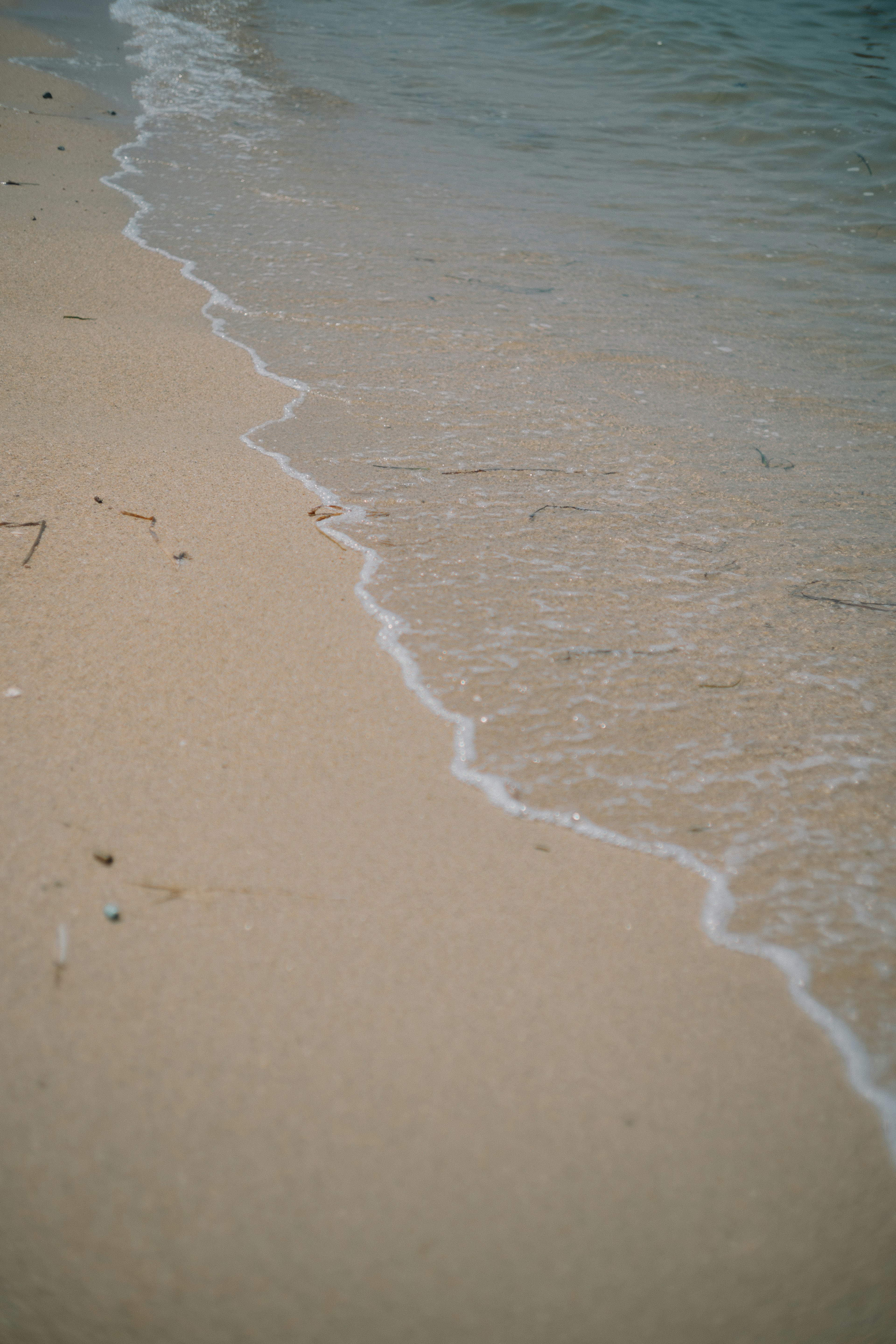 Sandy beach shoreline meeting gentle waves