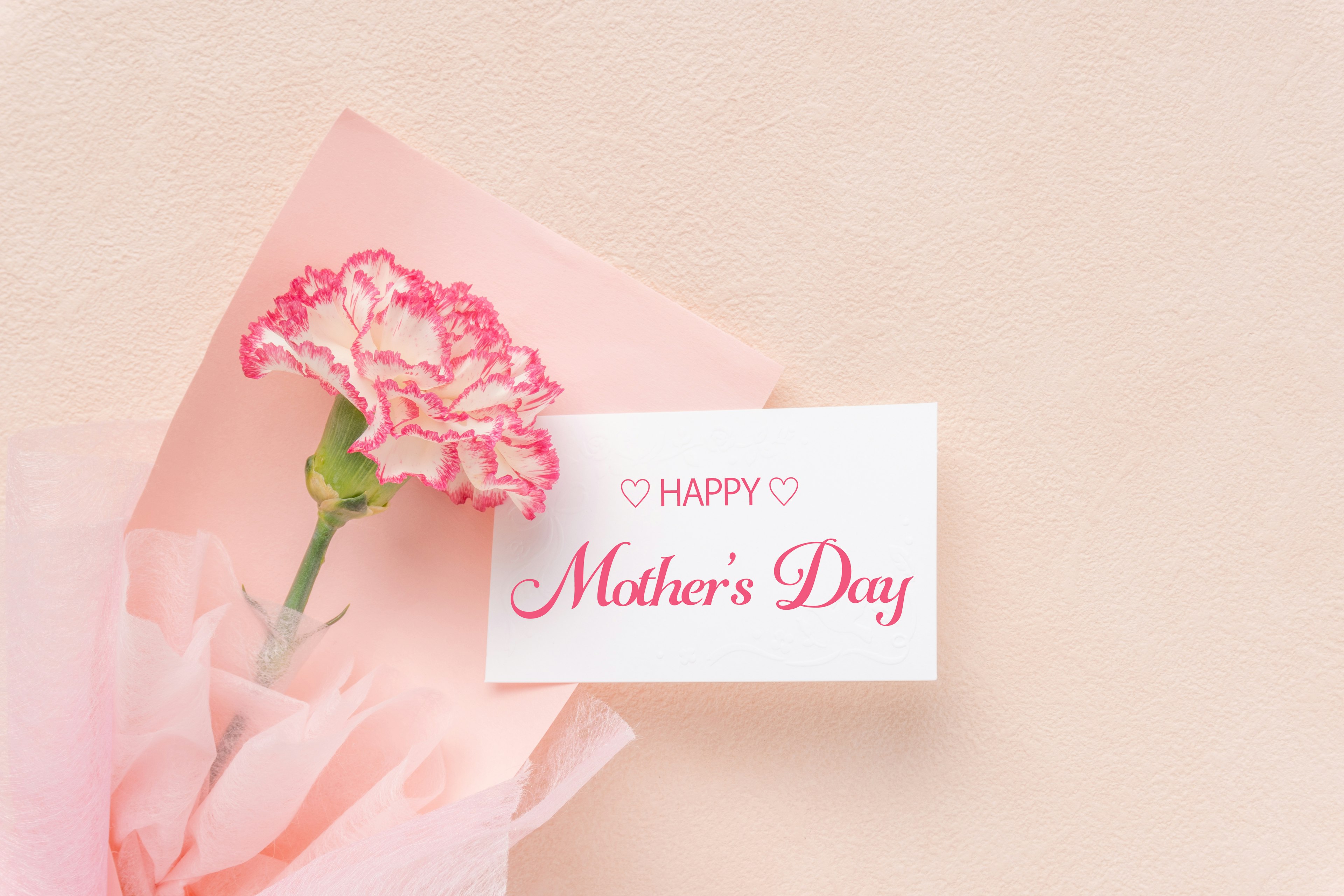 Mother's Day card with a pink carnation