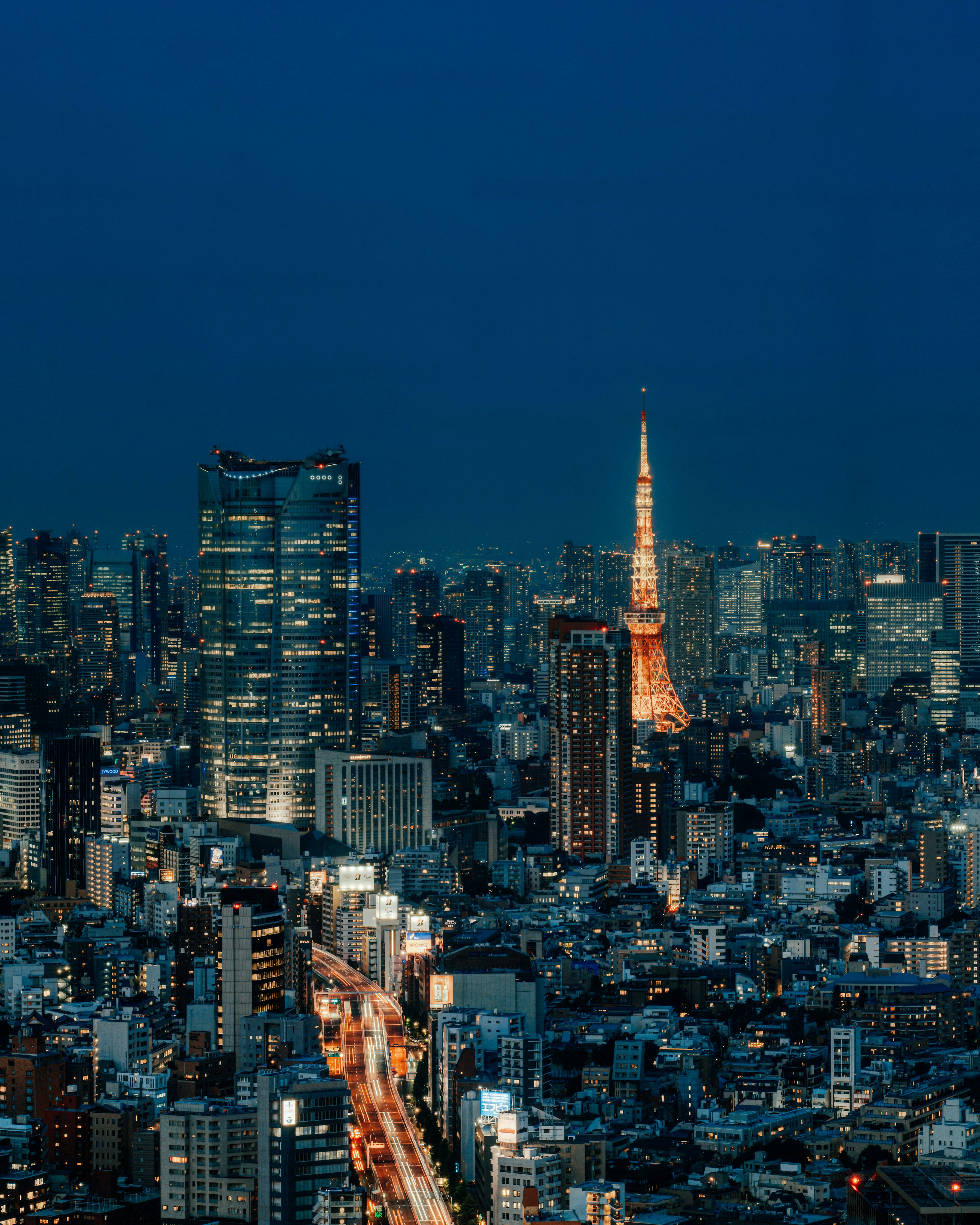 Vista panorámica de Tokio con la Torre de Tokio iluminada por la noche