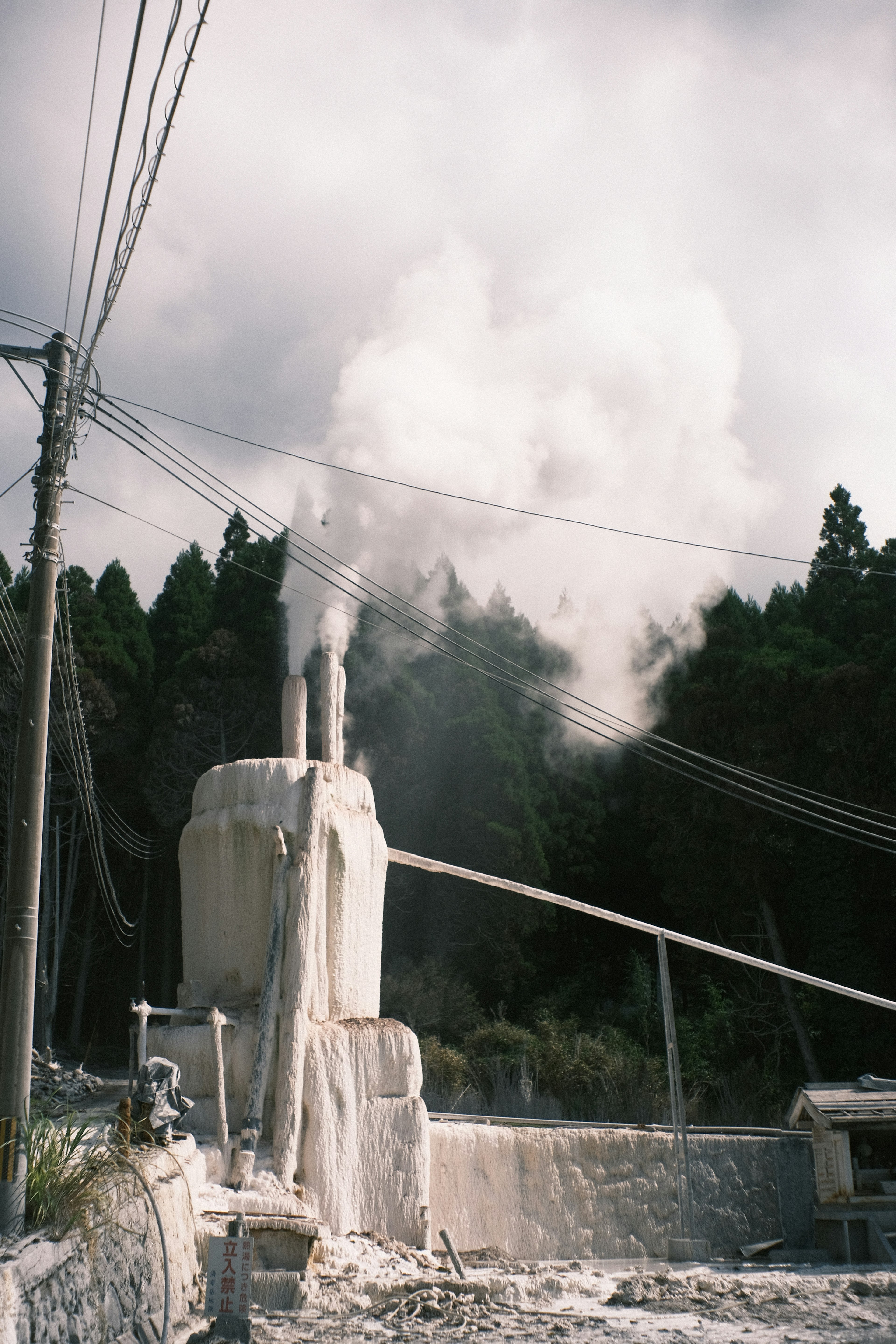 蒸氣從樹木環繞的地熱發電廠升起