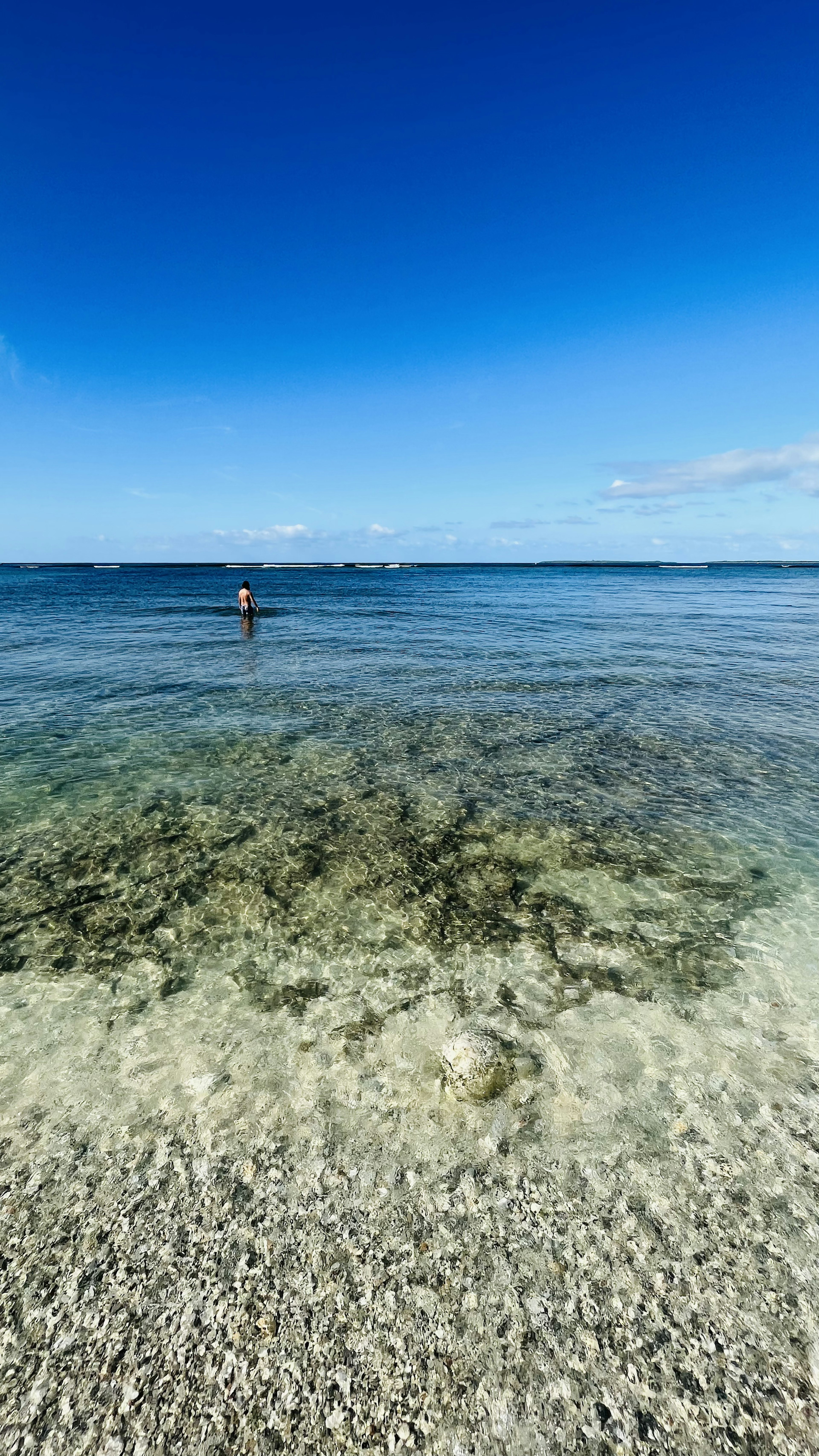 透明な海水とサンゴ礁が見えるビーチの風景