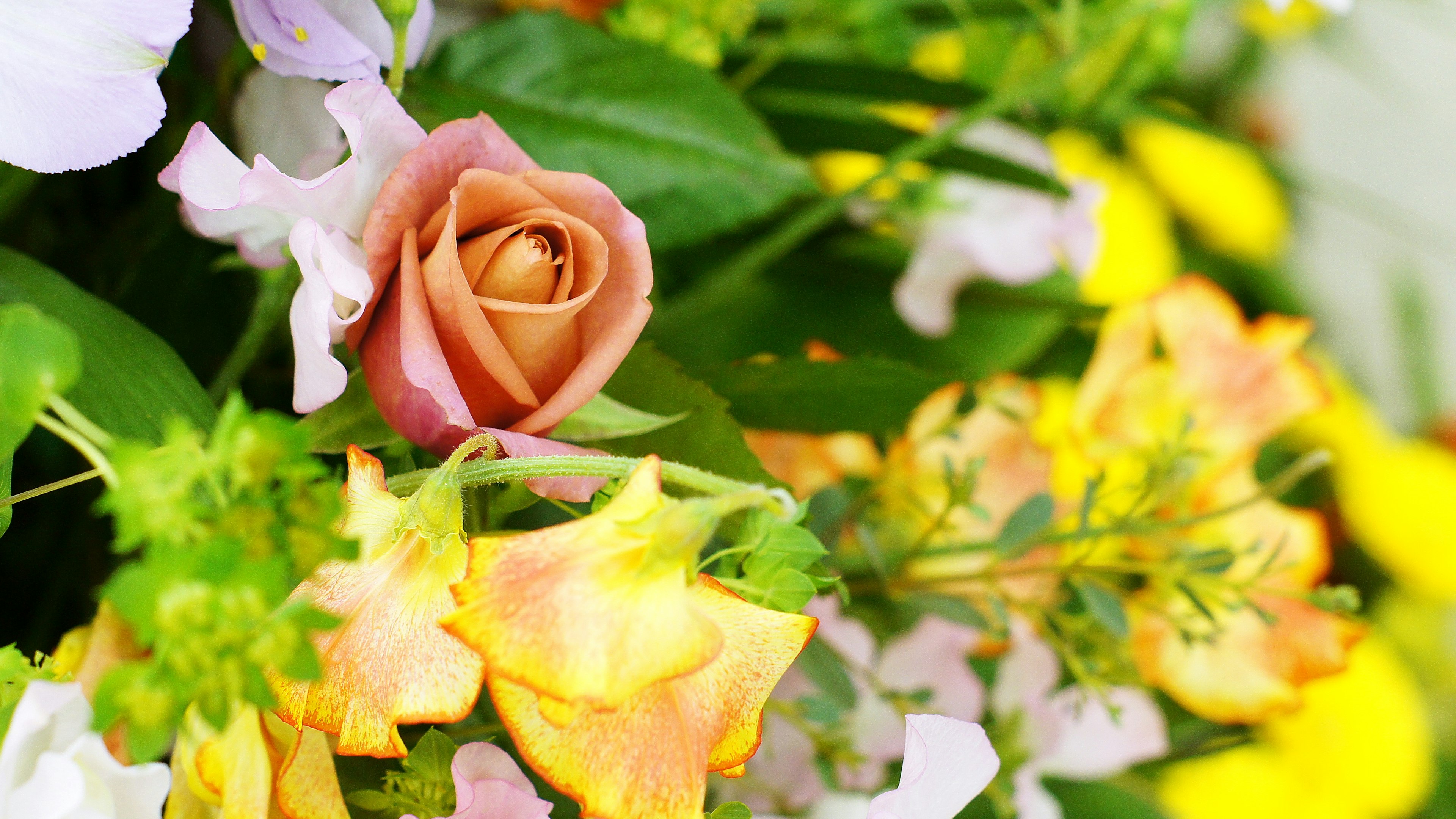 A close-up of a beautiful bouquet featuring colorful flowers and green leaves