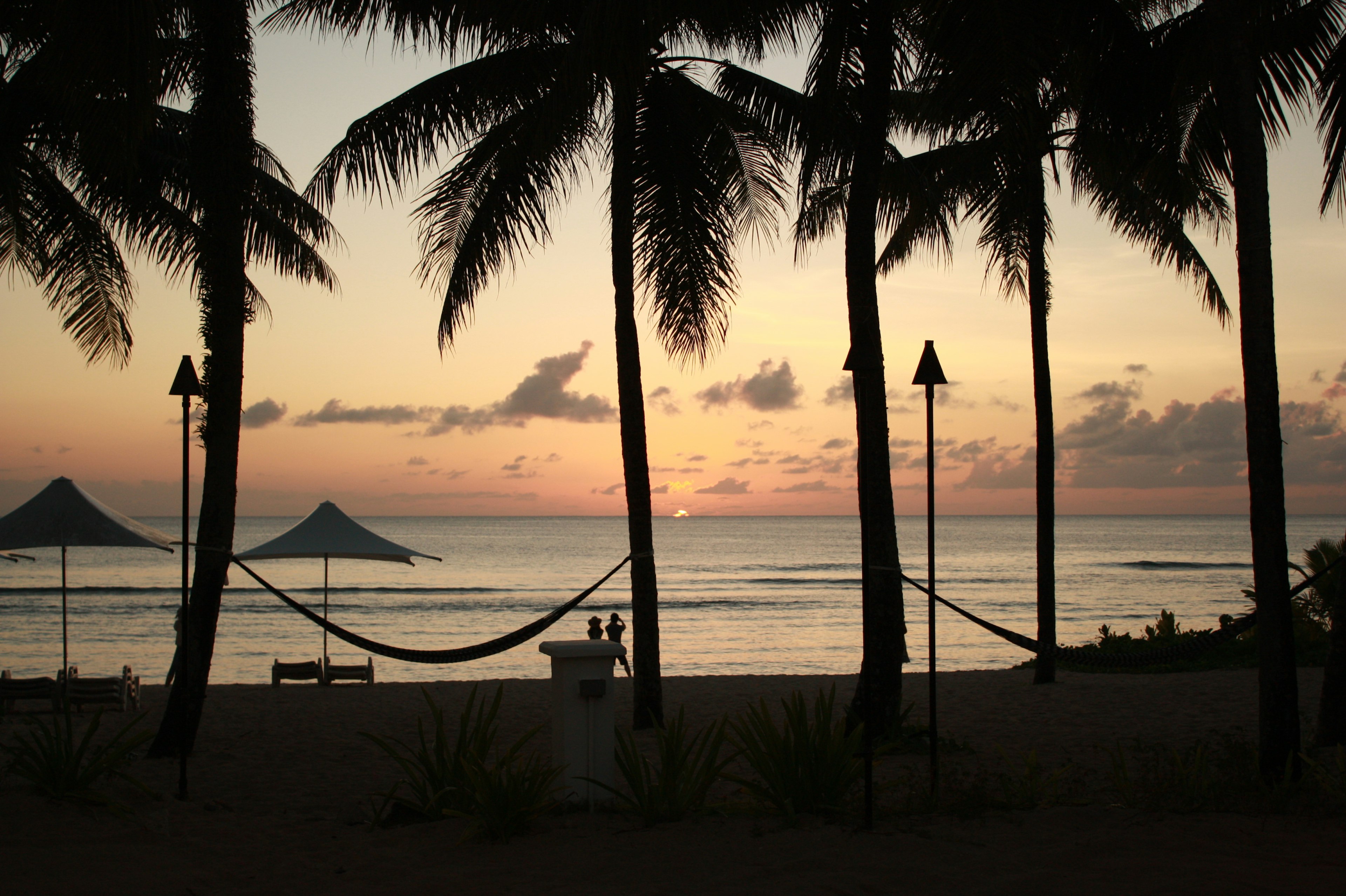 Silhouette of palm trees against the sea and sunset