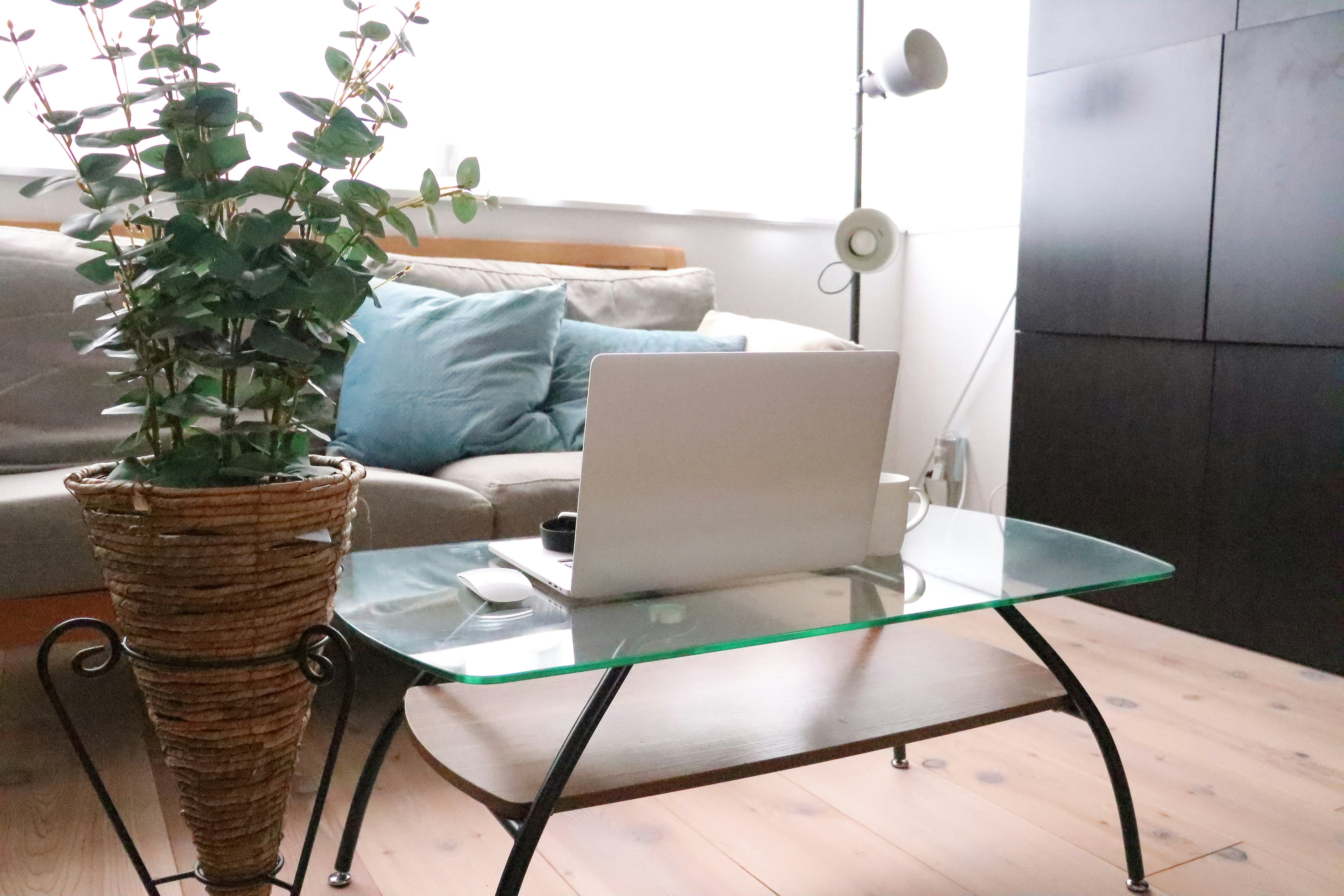 Salon lumineux avec une table en verre et un ordinateur portable avec une plante en pot et des coussins sur le canapé