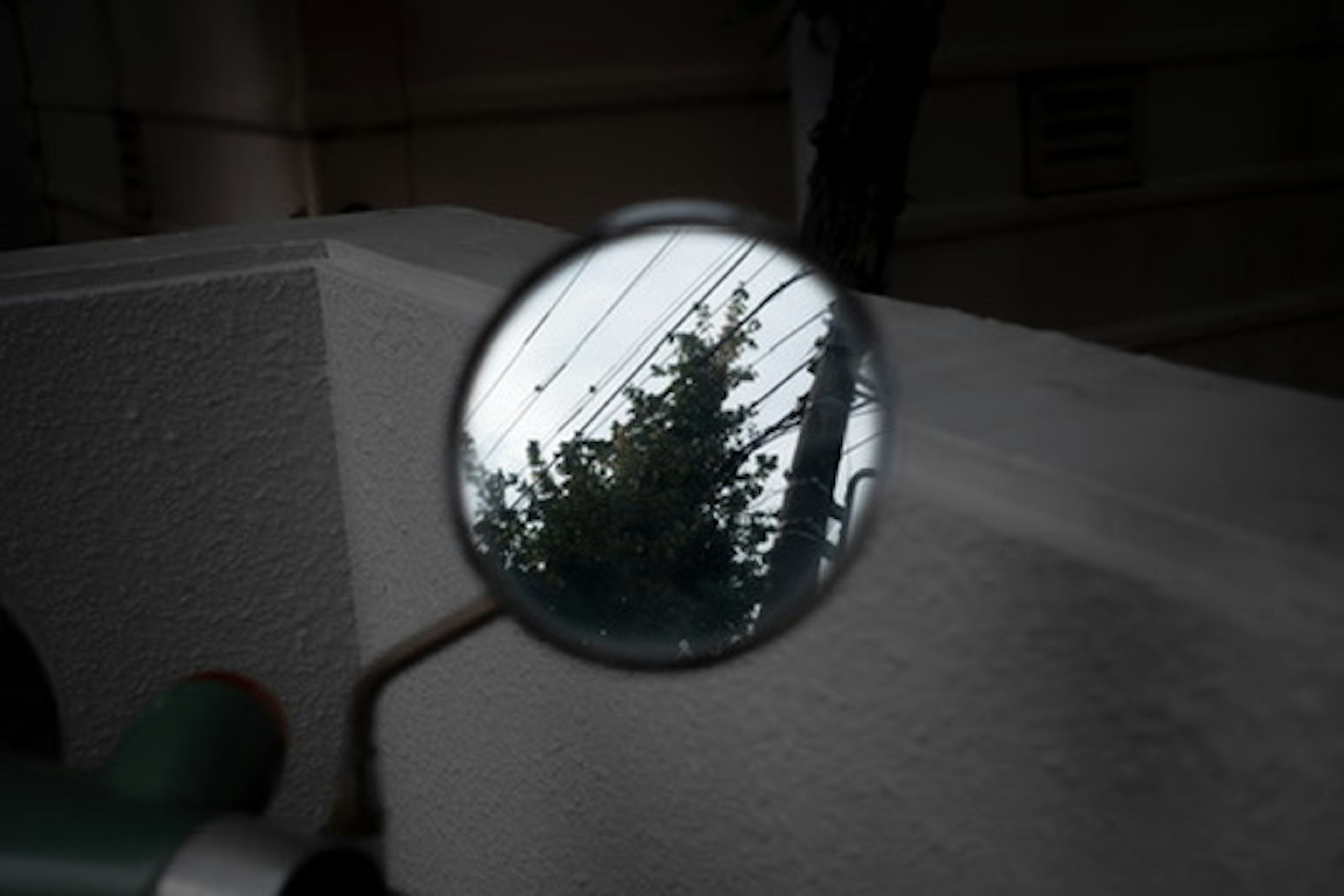 Reflection of tree and power lines in a round mirror