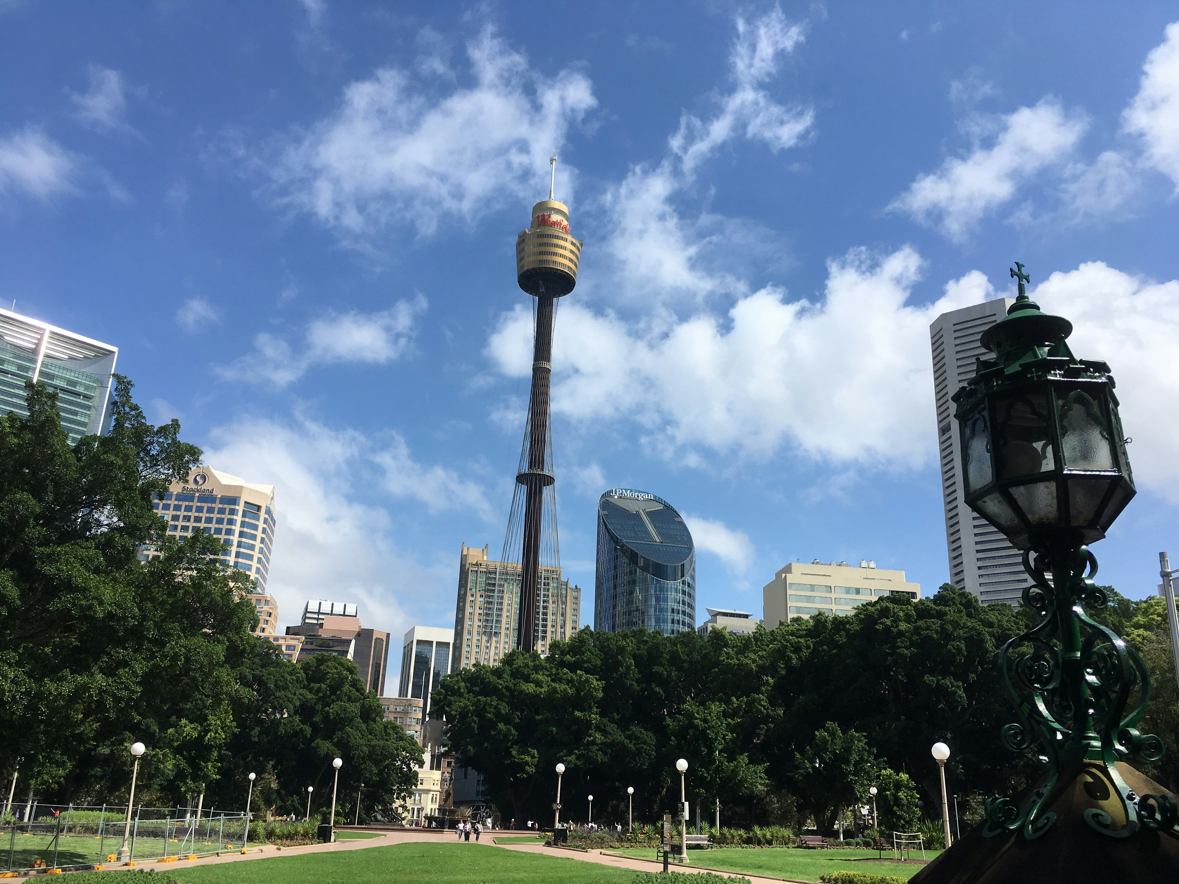 Park view with Sydney Tower and modern skyscrapers under a blue sky