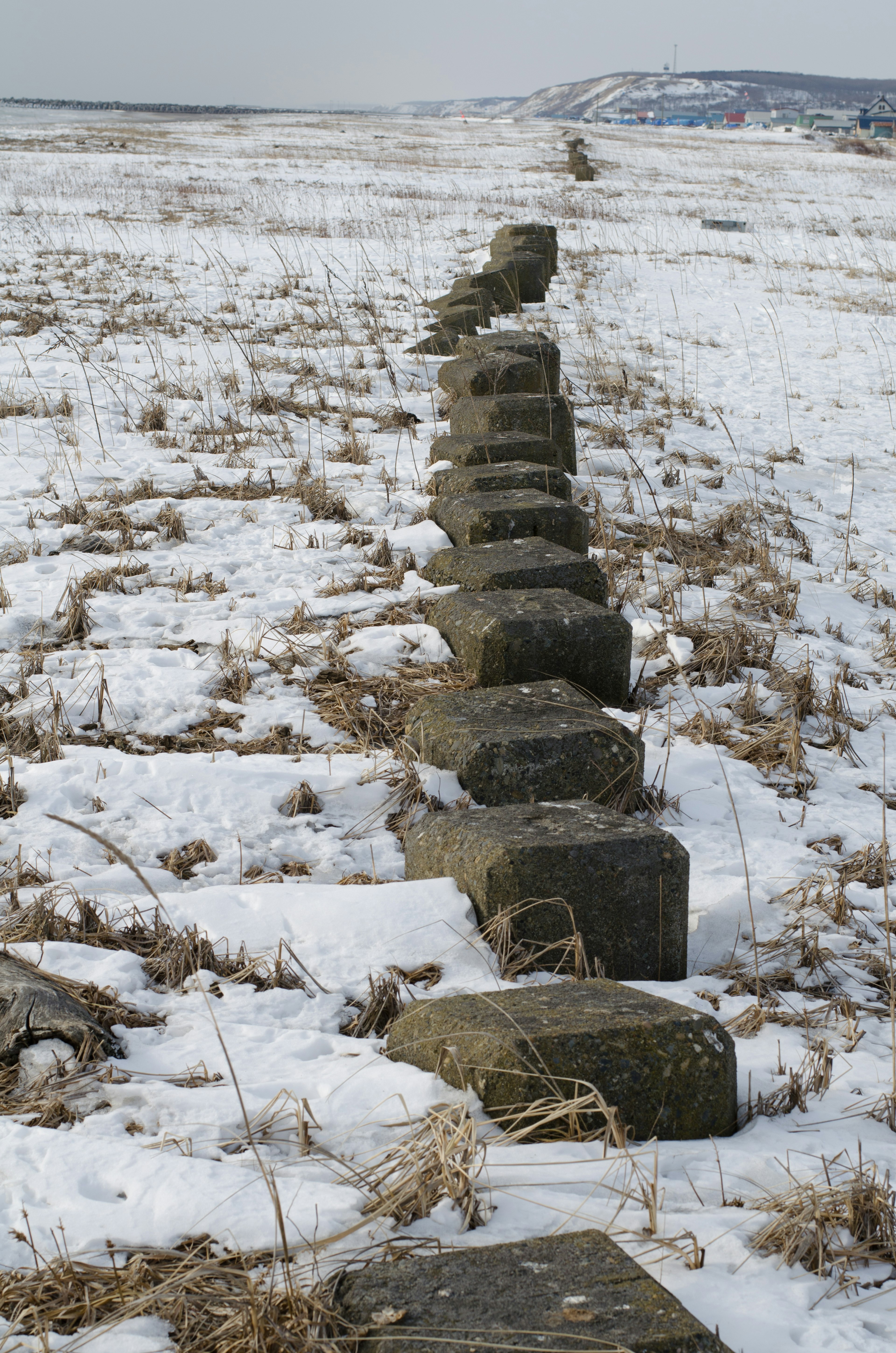 Riga di pietre su un campo coperto di neve