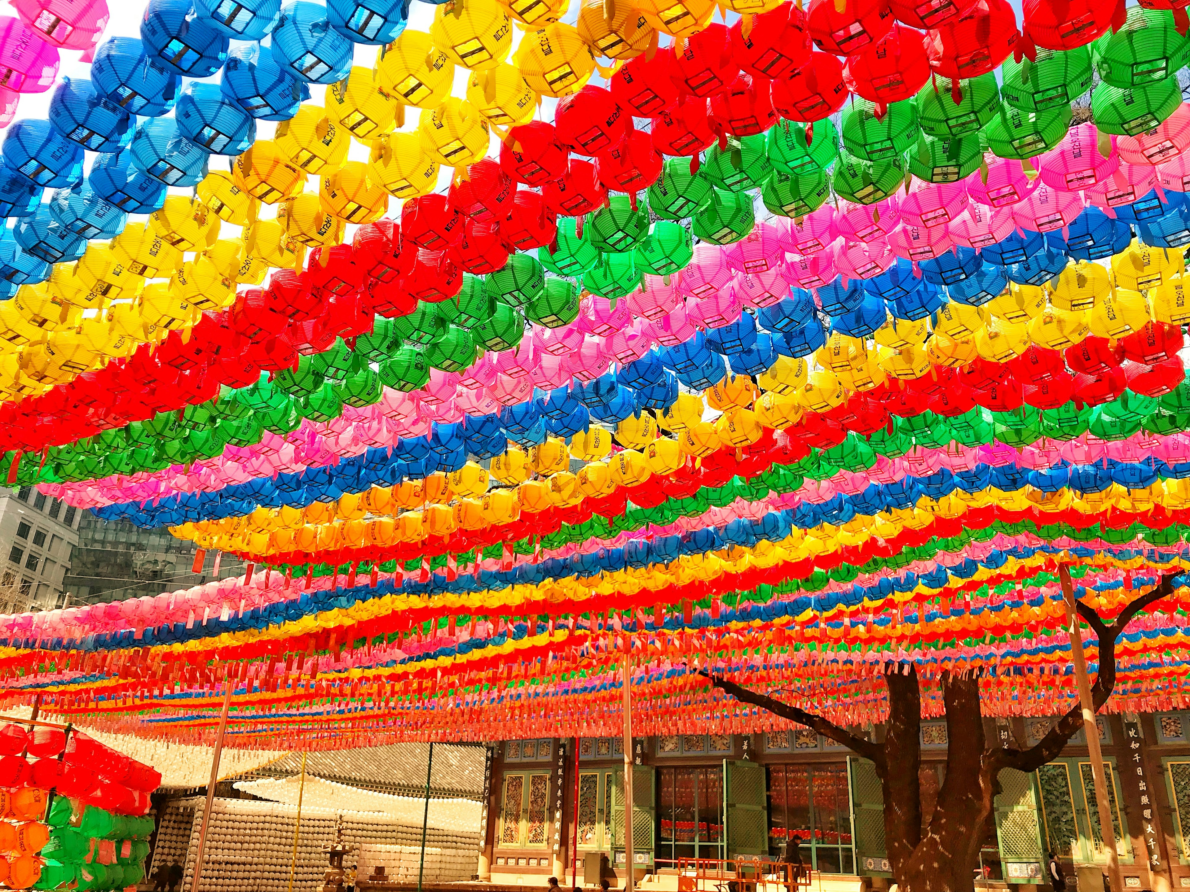 Colorful lanterns hanging in an outdoor setting