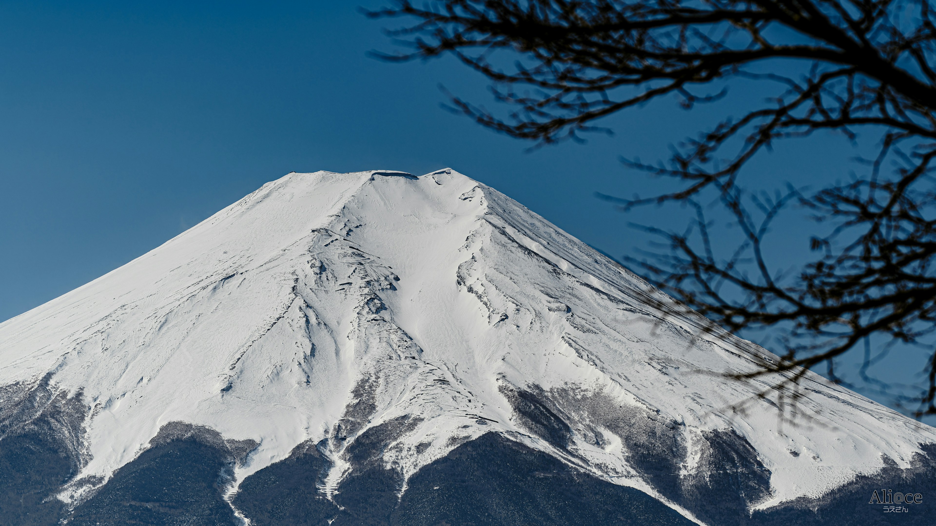 雪に覆われた富士山の美しい山頂と青空