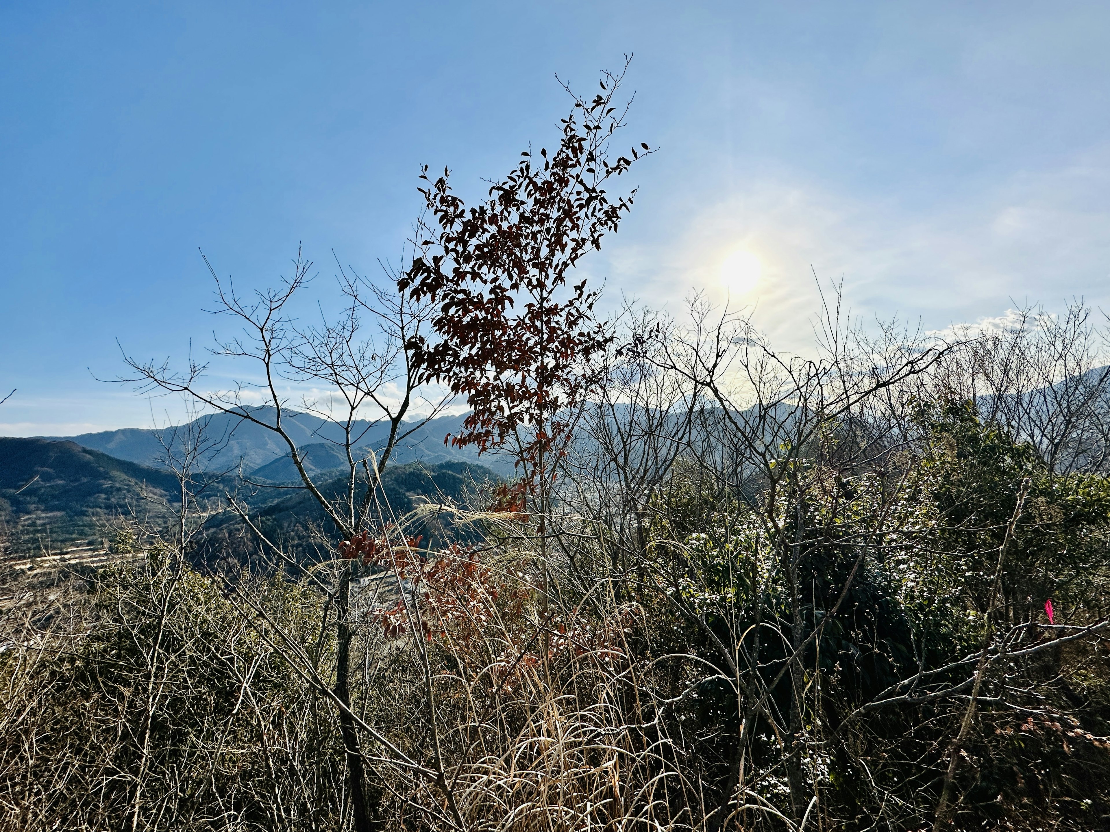 Pemandangan gunung musim dingin dengan pohon telanjang dan langit biru, matahari bersinar