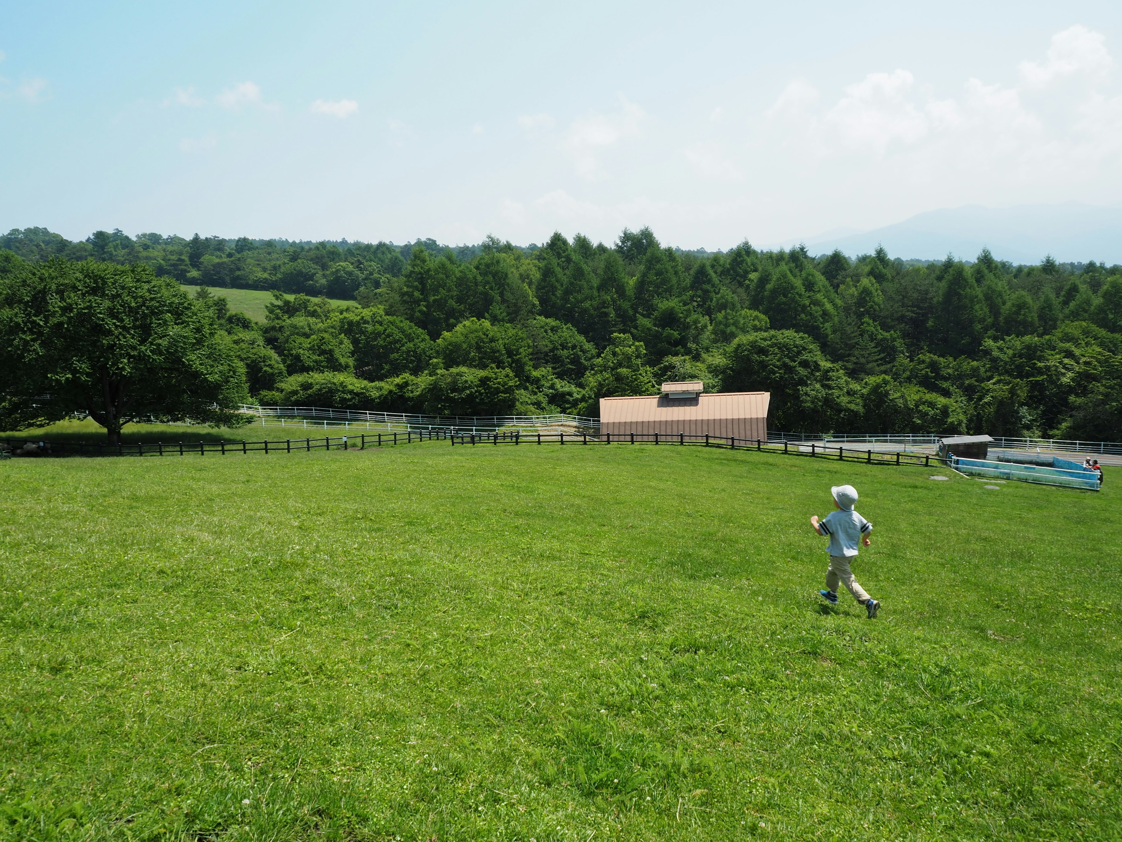 Child running on a green meadow with a shed and trees in the background