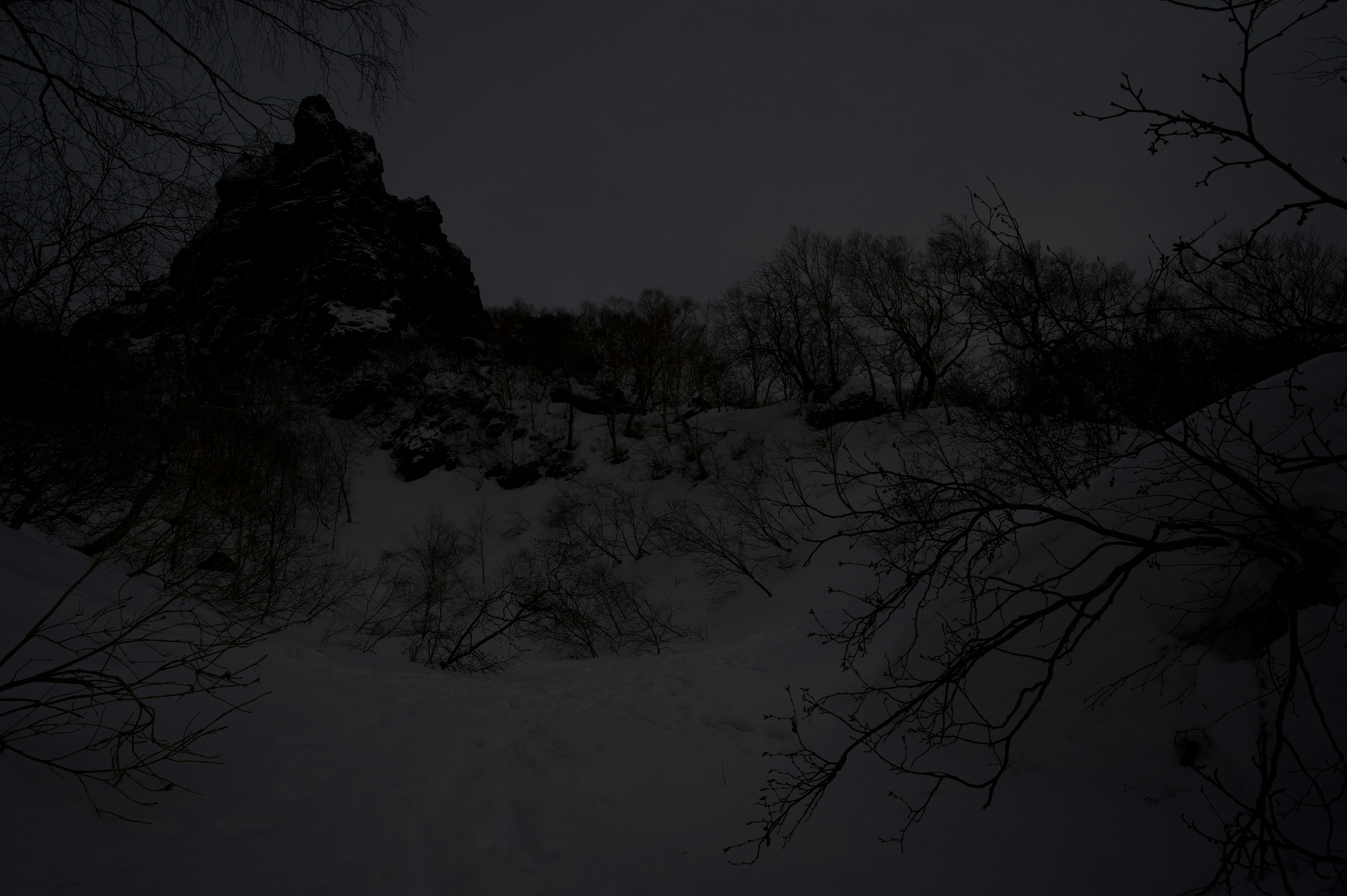 Paysage enneigé sombre avec silhouettes d'arbres