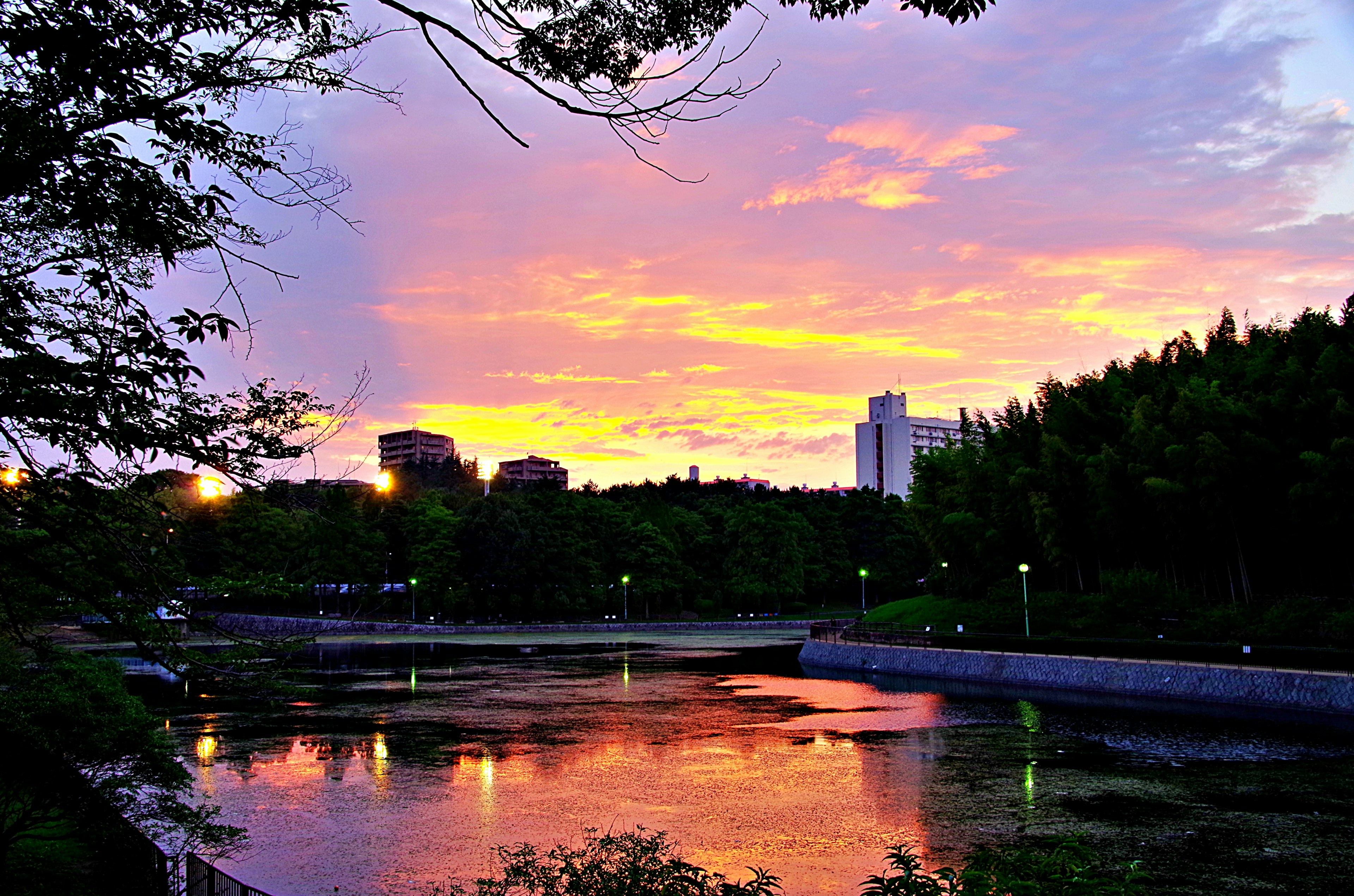 แม่น้ำในสวนที่เงียบสงบพร้อมท้องฟ้ายามพระอาทิตย์ตกที่สวยงาม