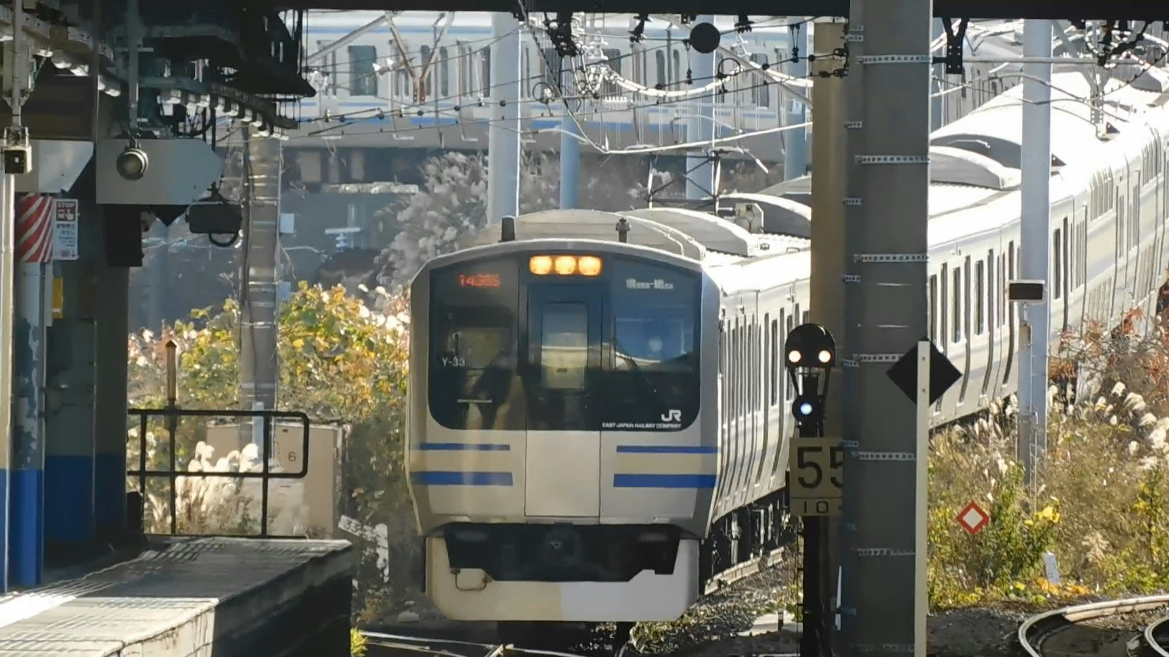 Vista frontale di un treno bianco alla stazione con paesaggio circostante