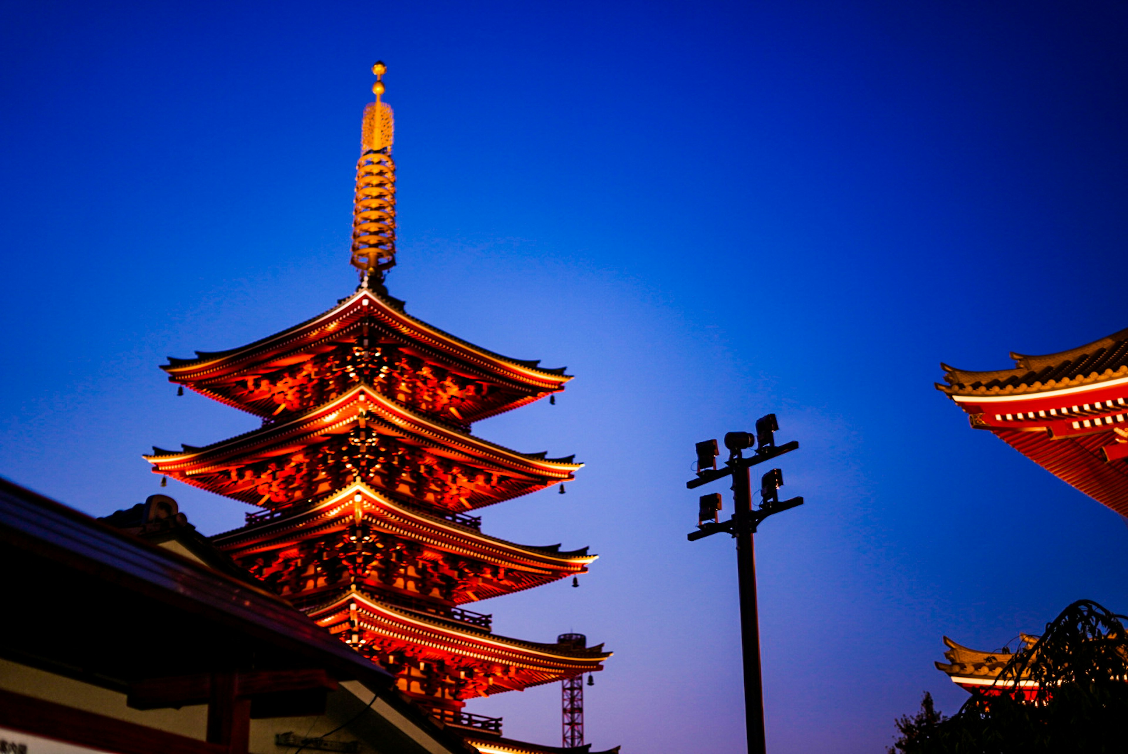 Beautiful five-story pagoda illuminated against the night sky