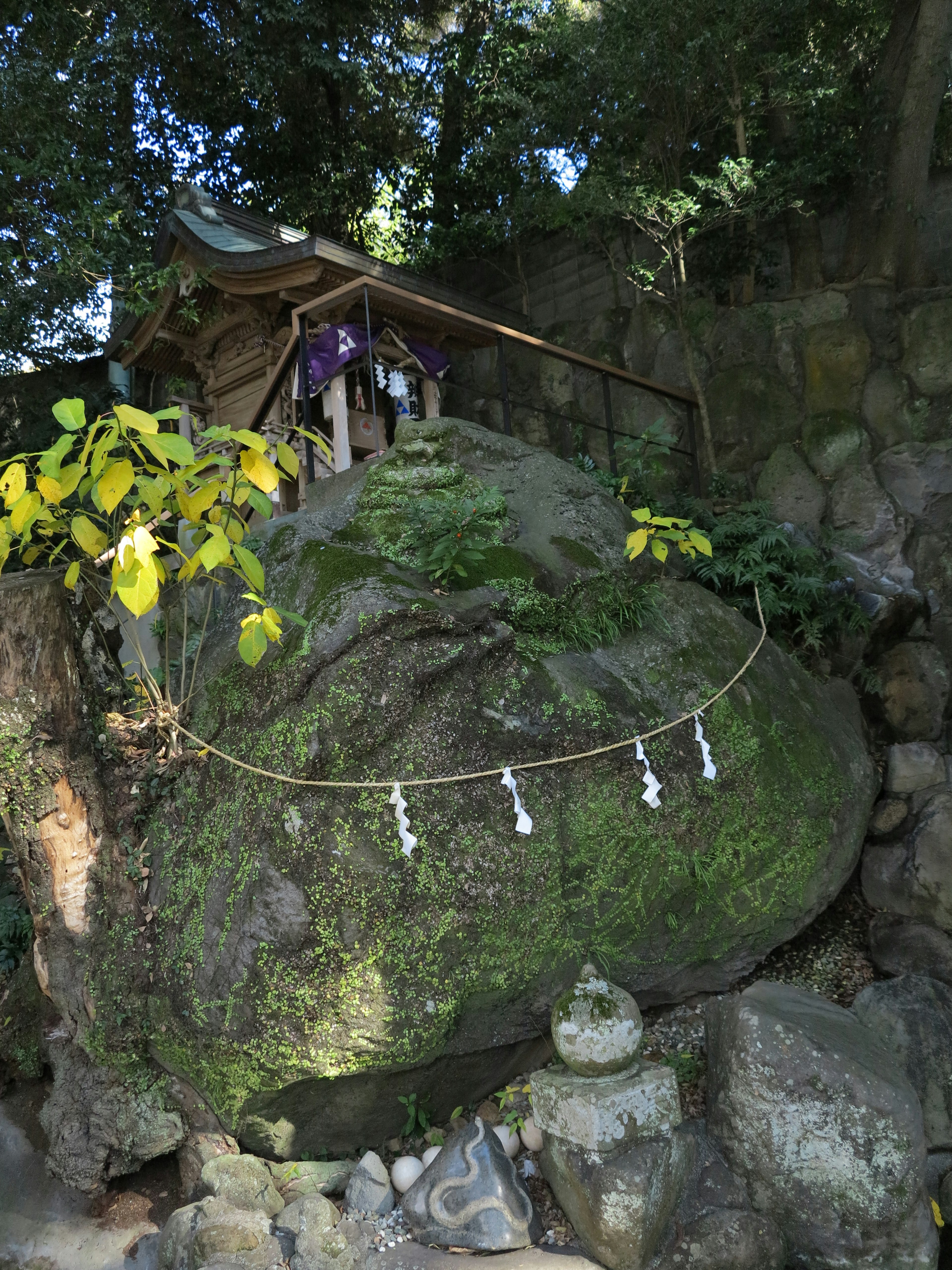 一座小神社位于被苔藓覆盖的岩石上，四周环绕着绿色植物