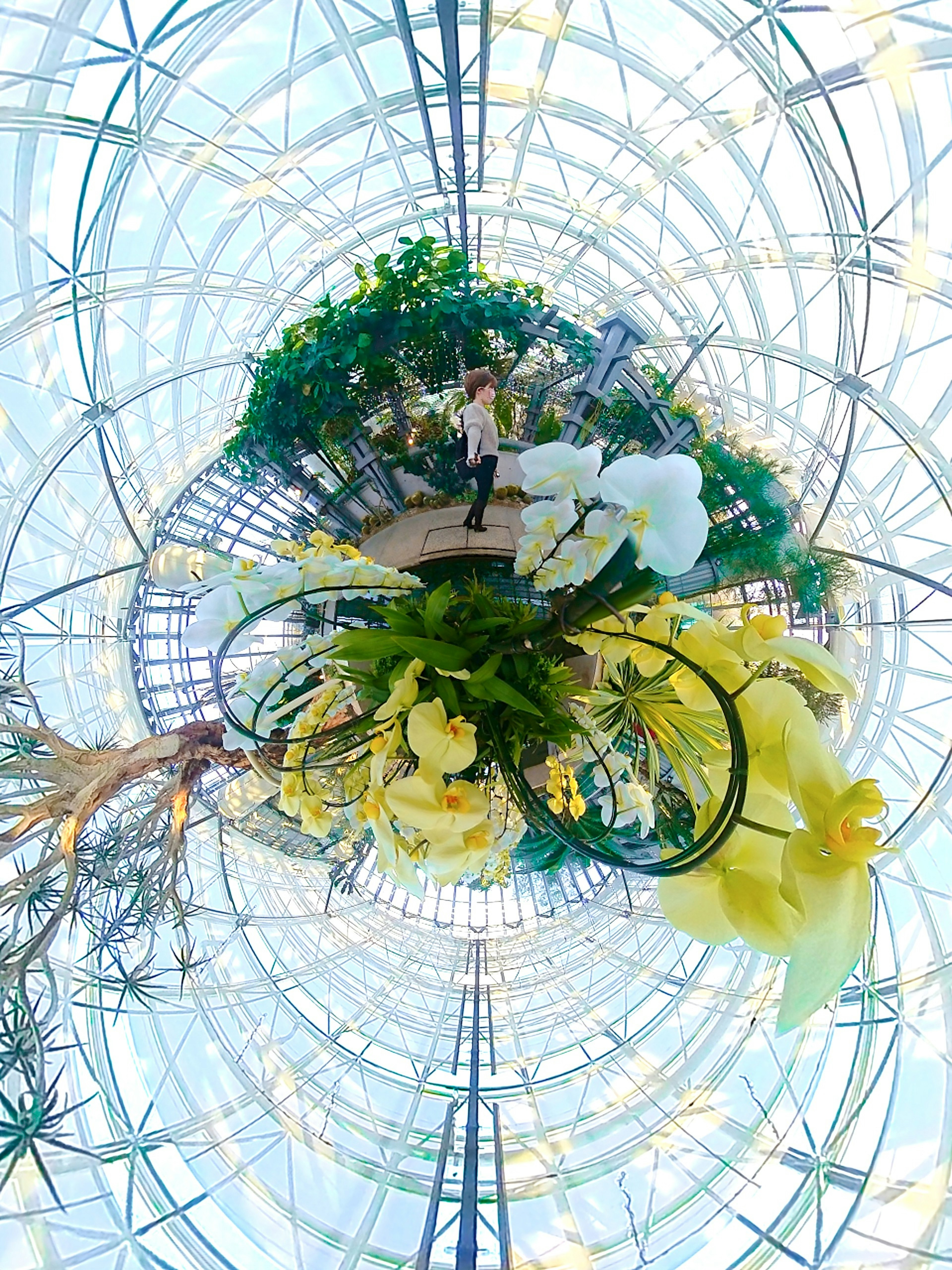 Beautiful glass greenhouse interior with lush plants and vibrant flowers