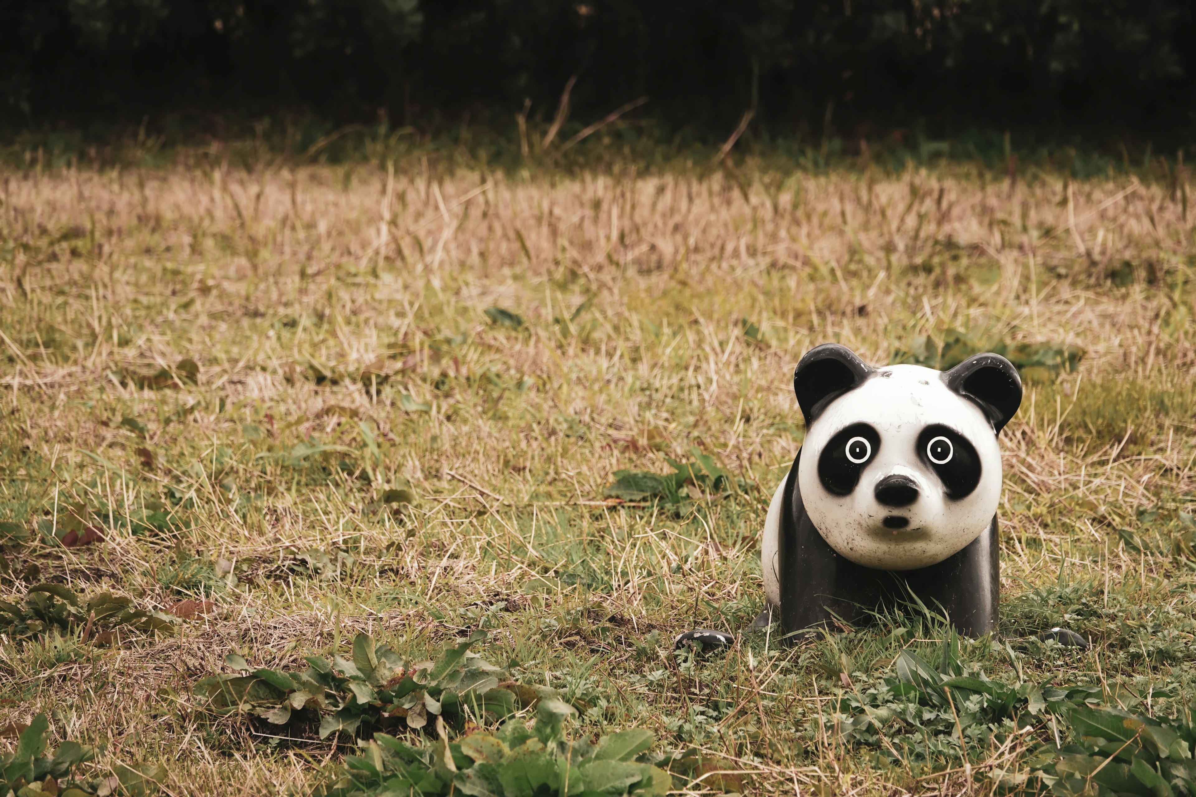 Un peluche panda in piedi in un campo erboso