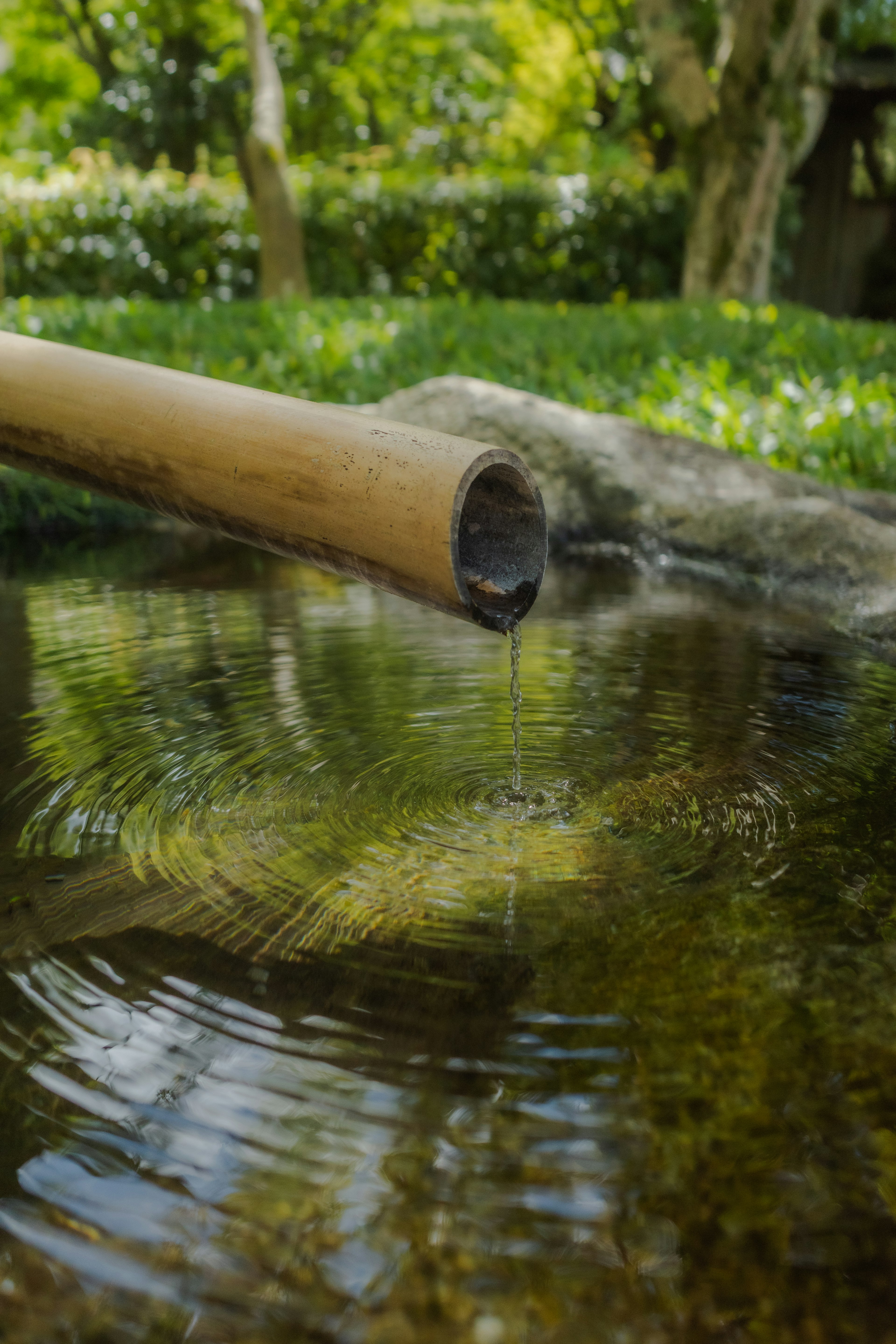 Bambuswasserlauf, der in einen ruhigen Teich in einem üppigen Garten fließt