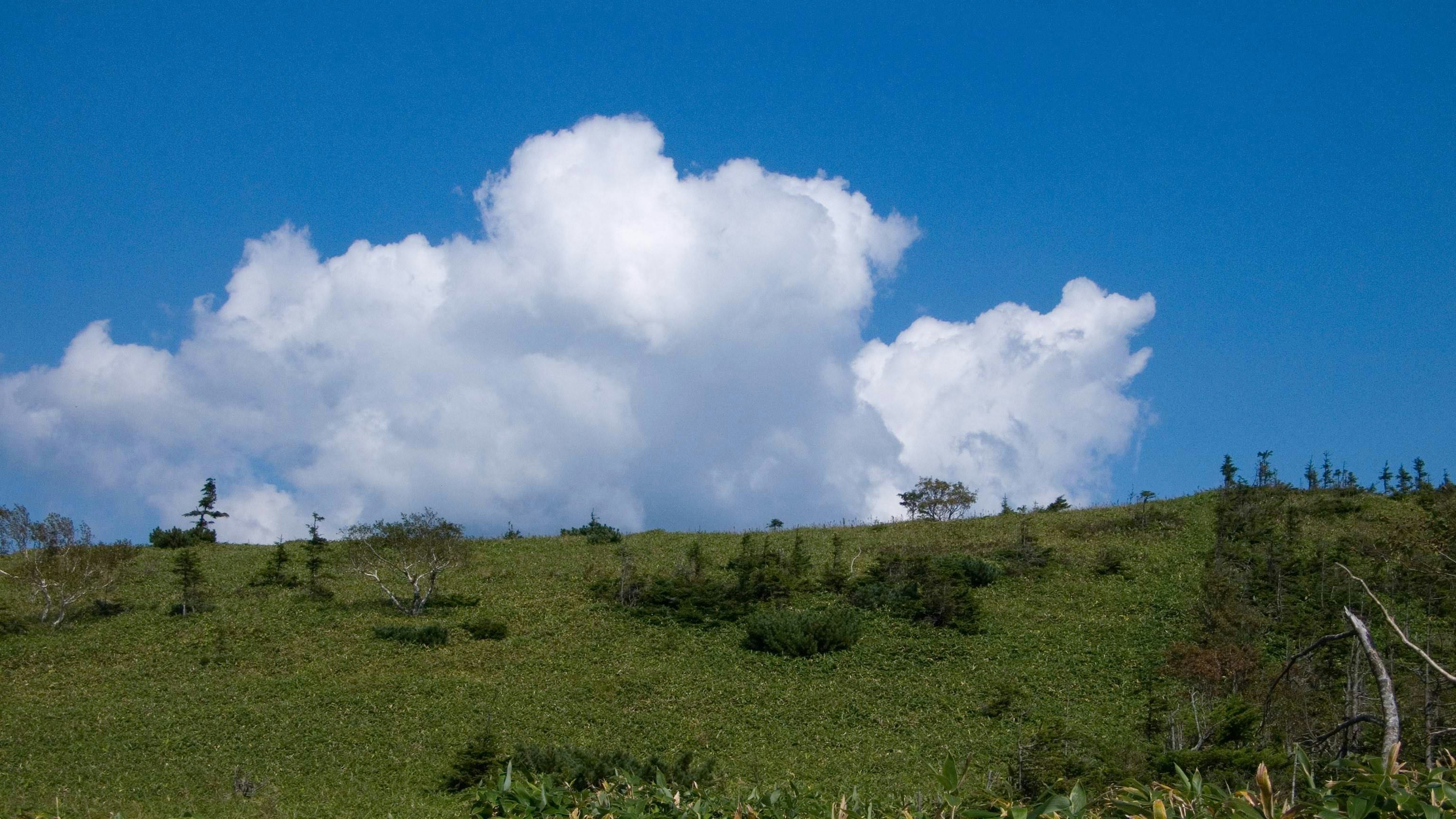 Colline verte sous un ciel bleu avec des nuages blancs duveteux