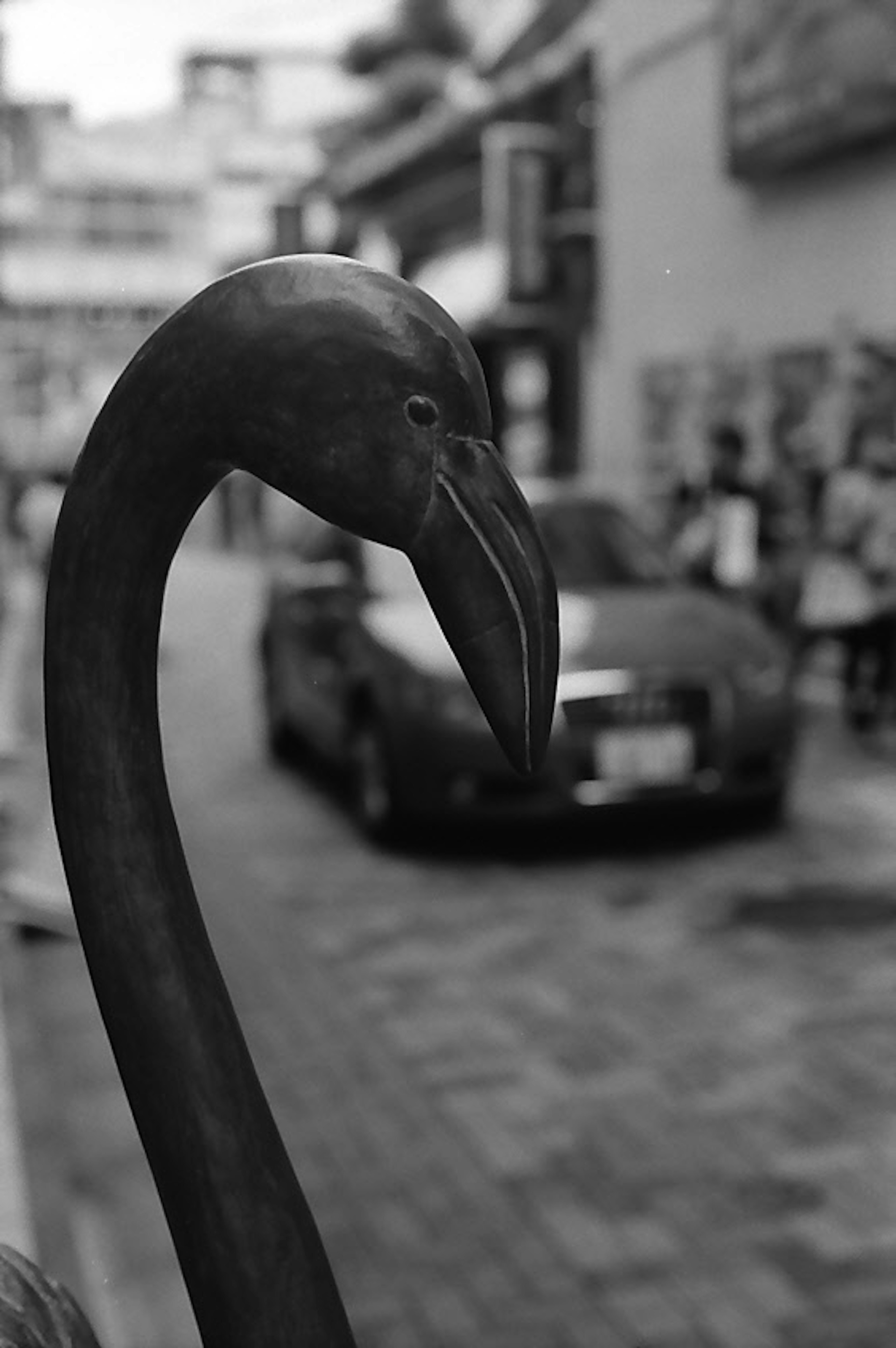 Gros plan sur le cou d'une sculpture de flamant rose sur fond noir et blanc