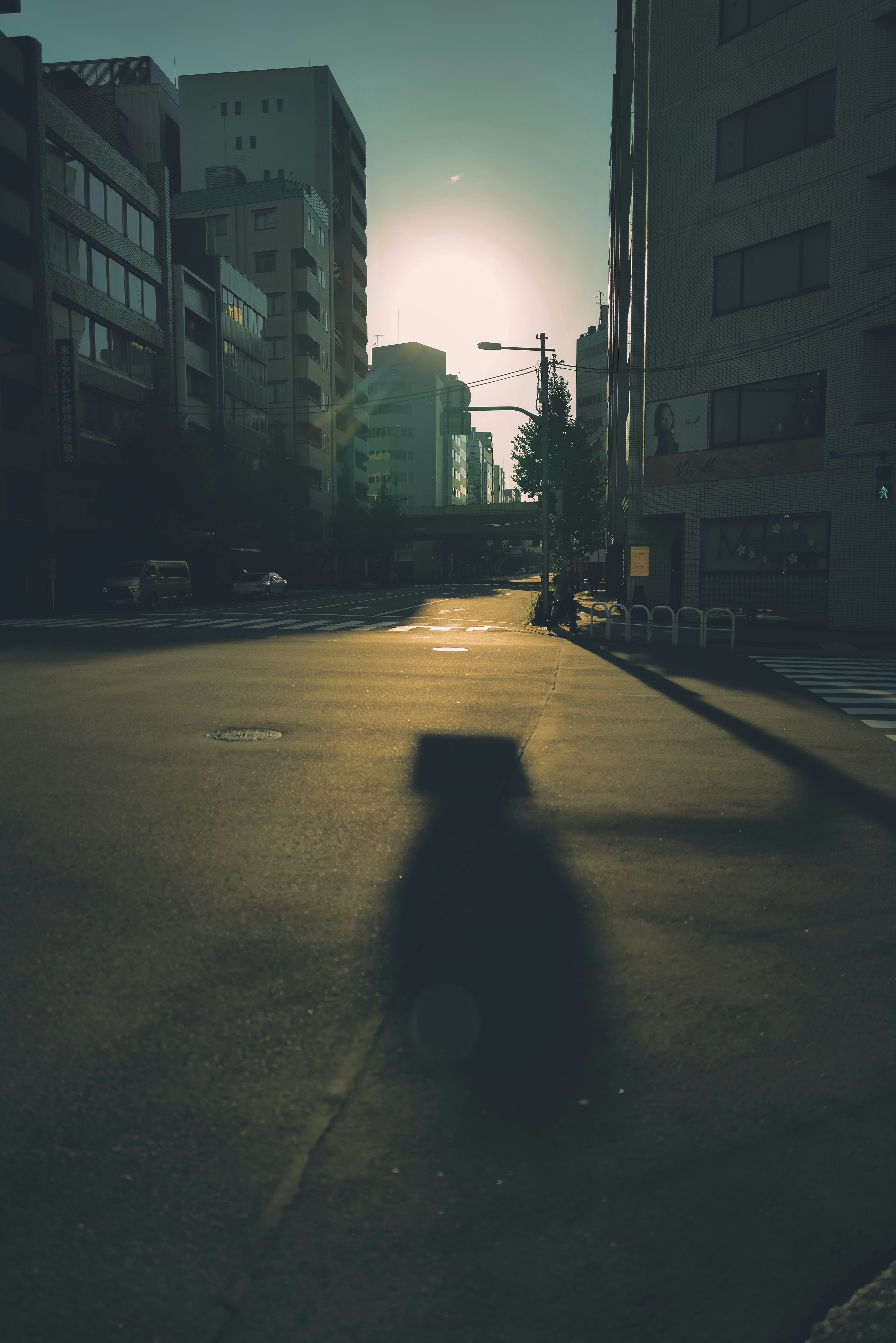 Quiet street at dusk with shadows and buildings