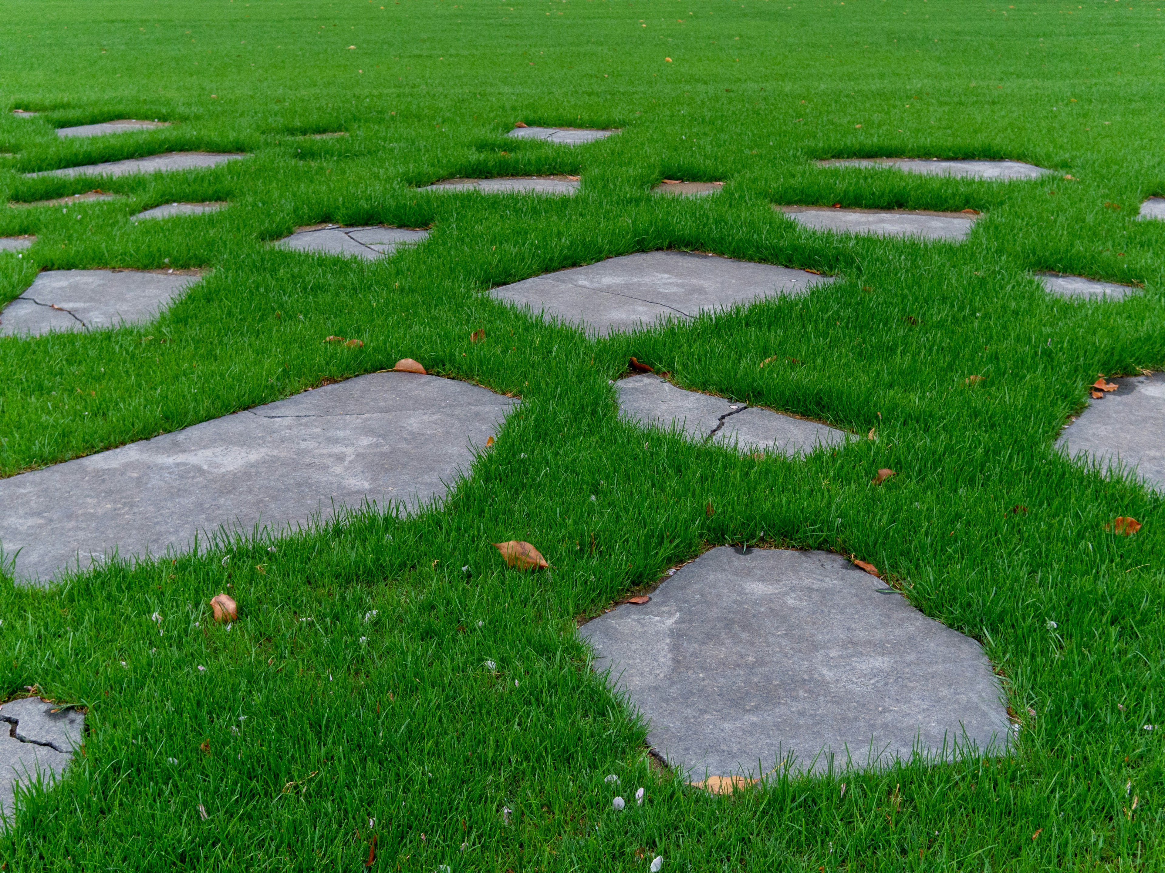 Unregelmäßig angeordnete Betontafeln auf grünem Gras