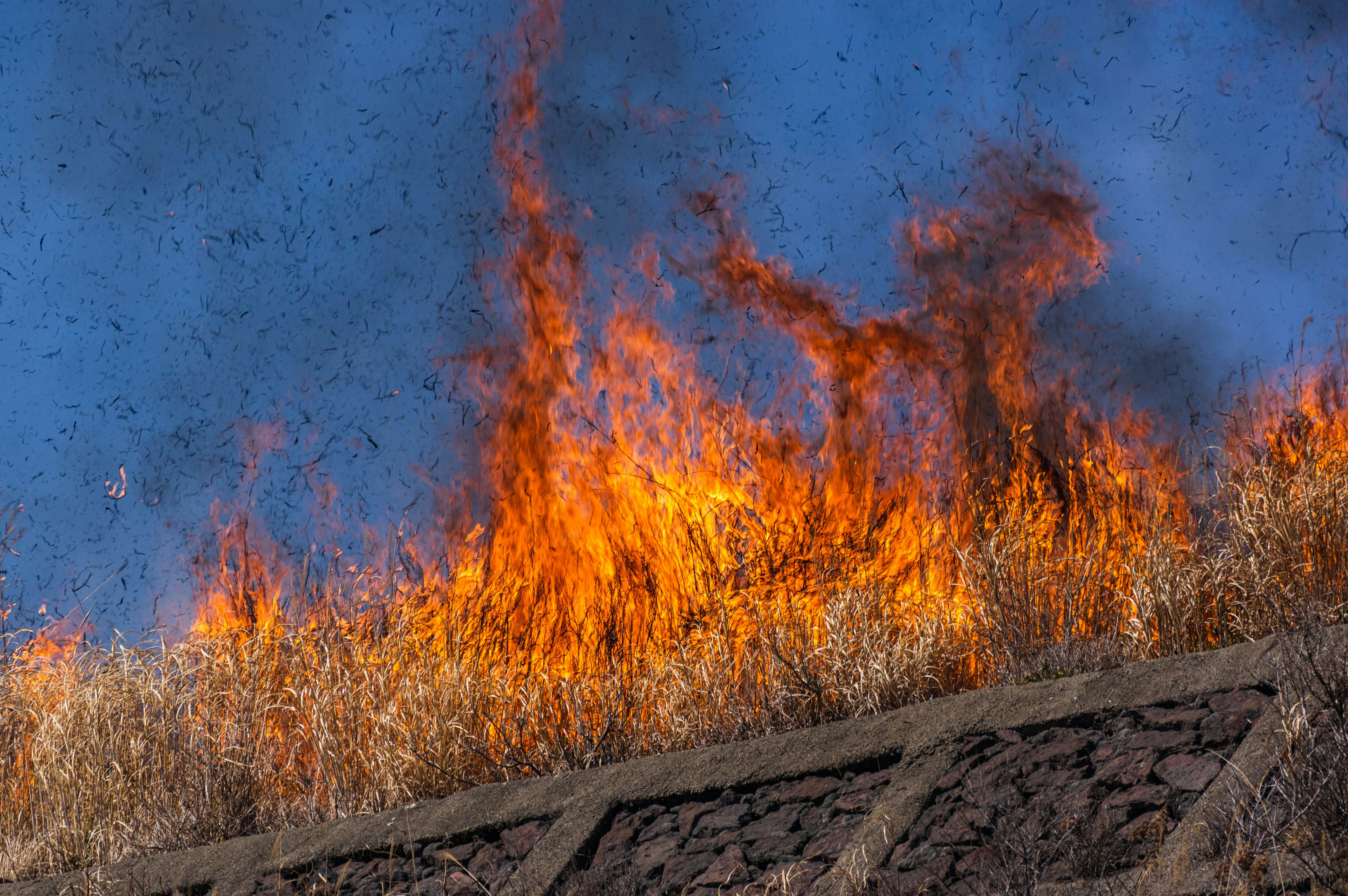 Flammen, die aus einer Wiese aufsteigen, mit blauem Himmel im Hintergrund