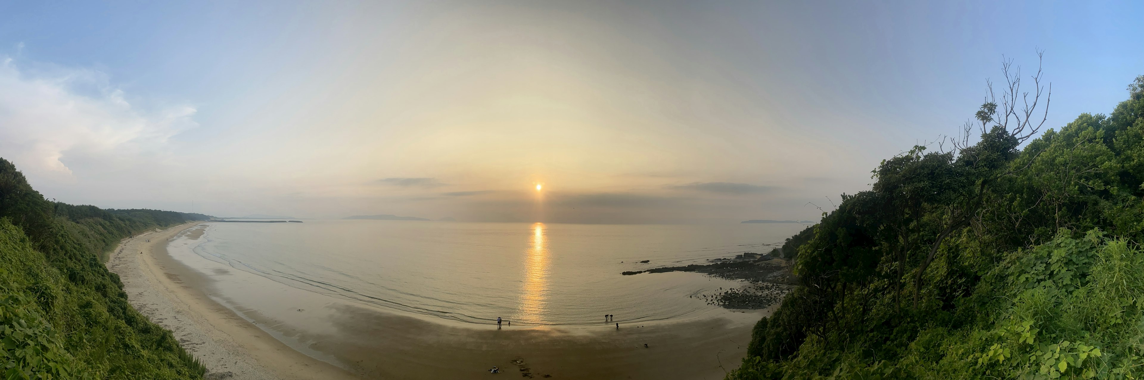 美しい夕日が海に映るパノラマ風景 緑豊かな丘の側に広がる海岸