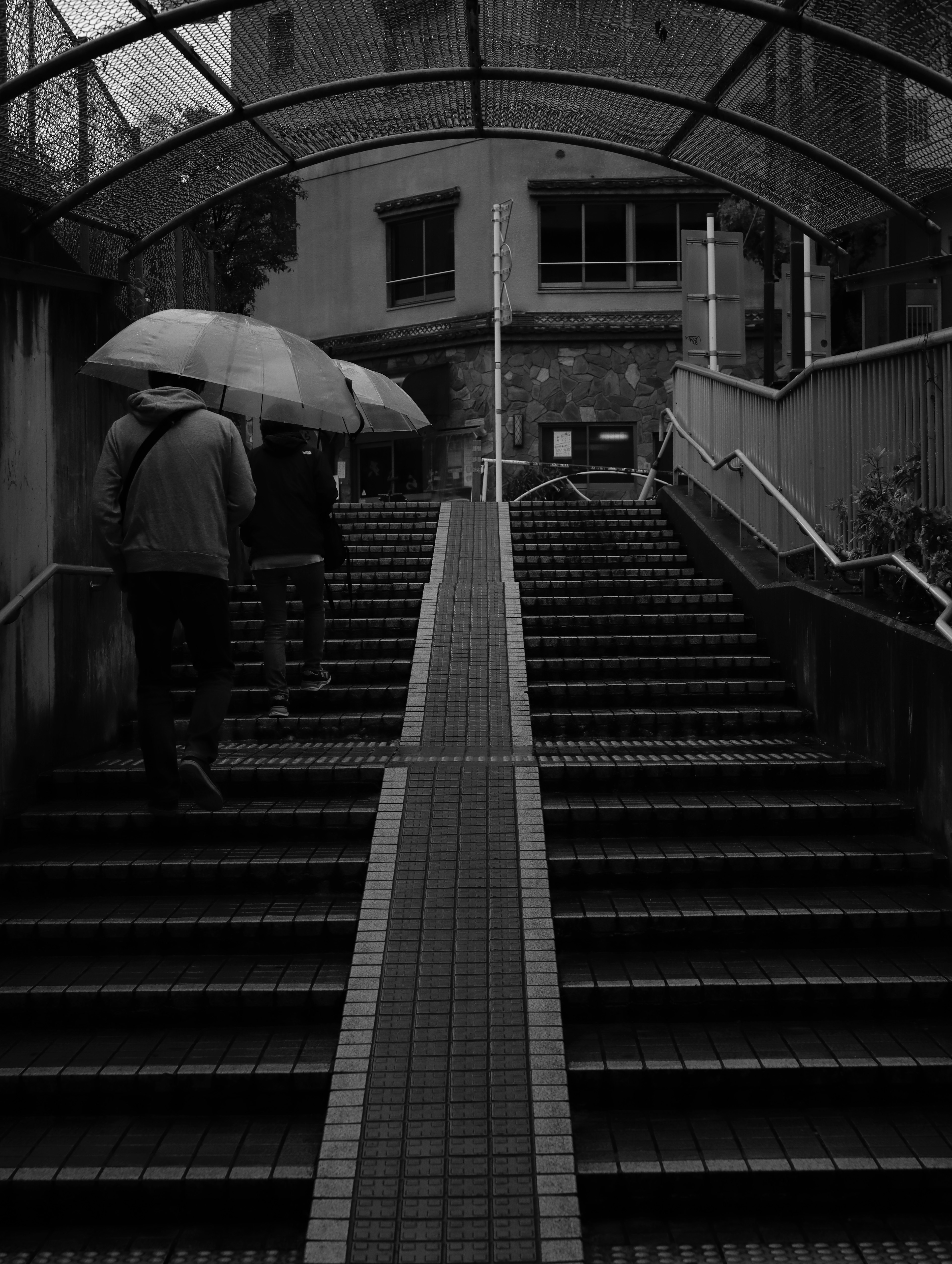 People ascending a staircase with umbrellas in a monochrome setting