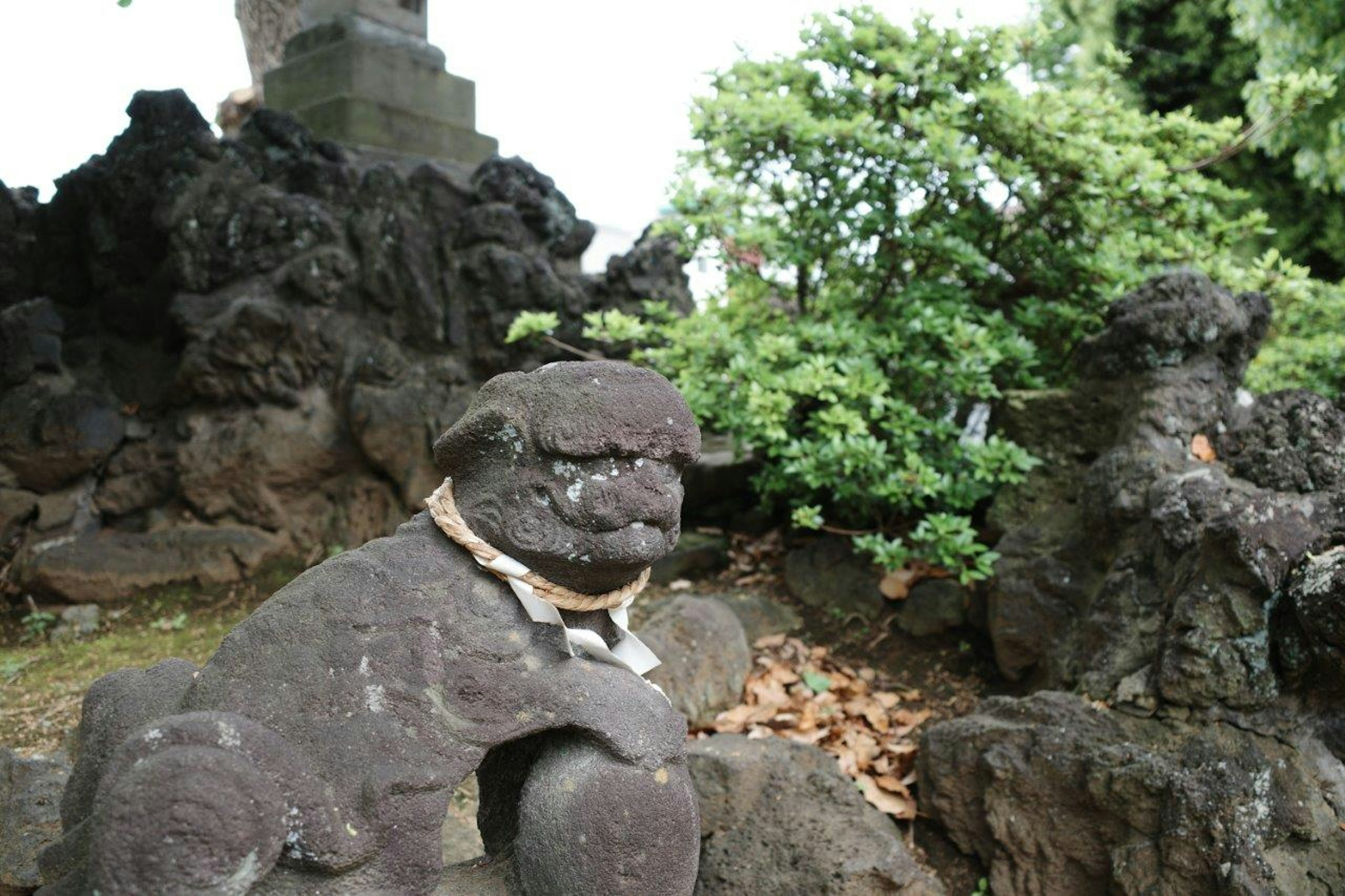 Stone lion statue sitting near green plants