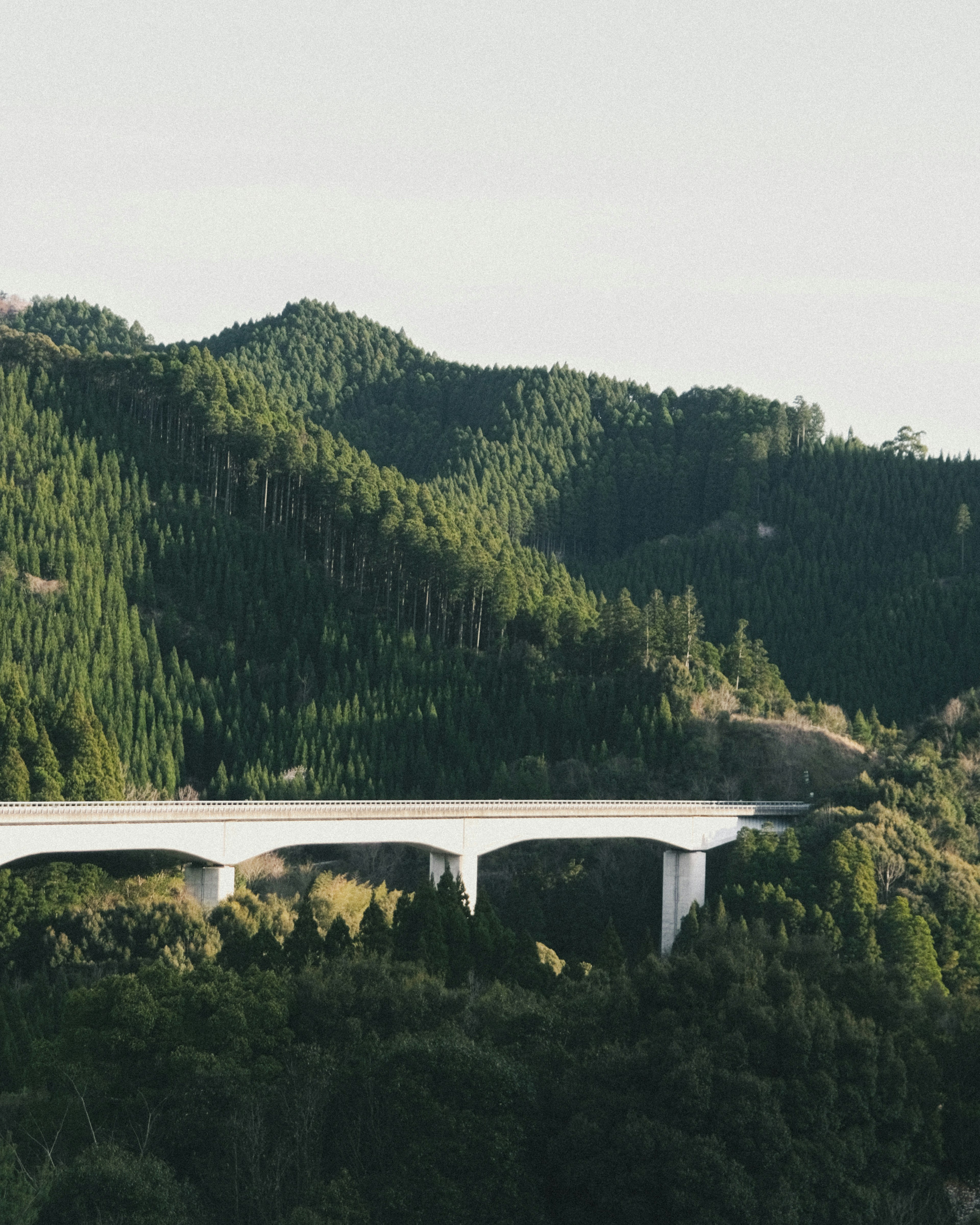 White overpass bridge against lush green mountains