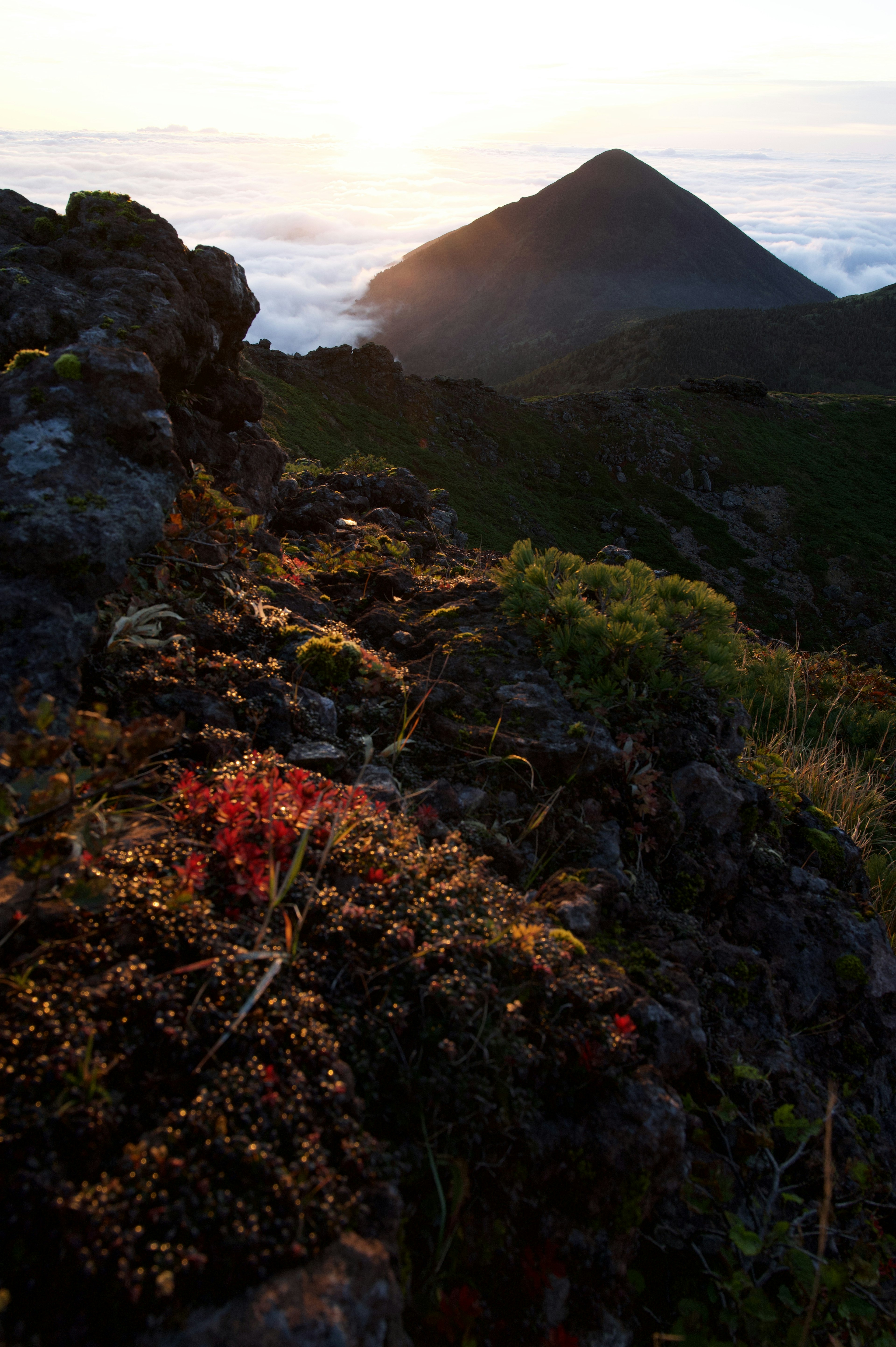 Berglandschaft mit Sonnenuntergang und lebendiger Flora