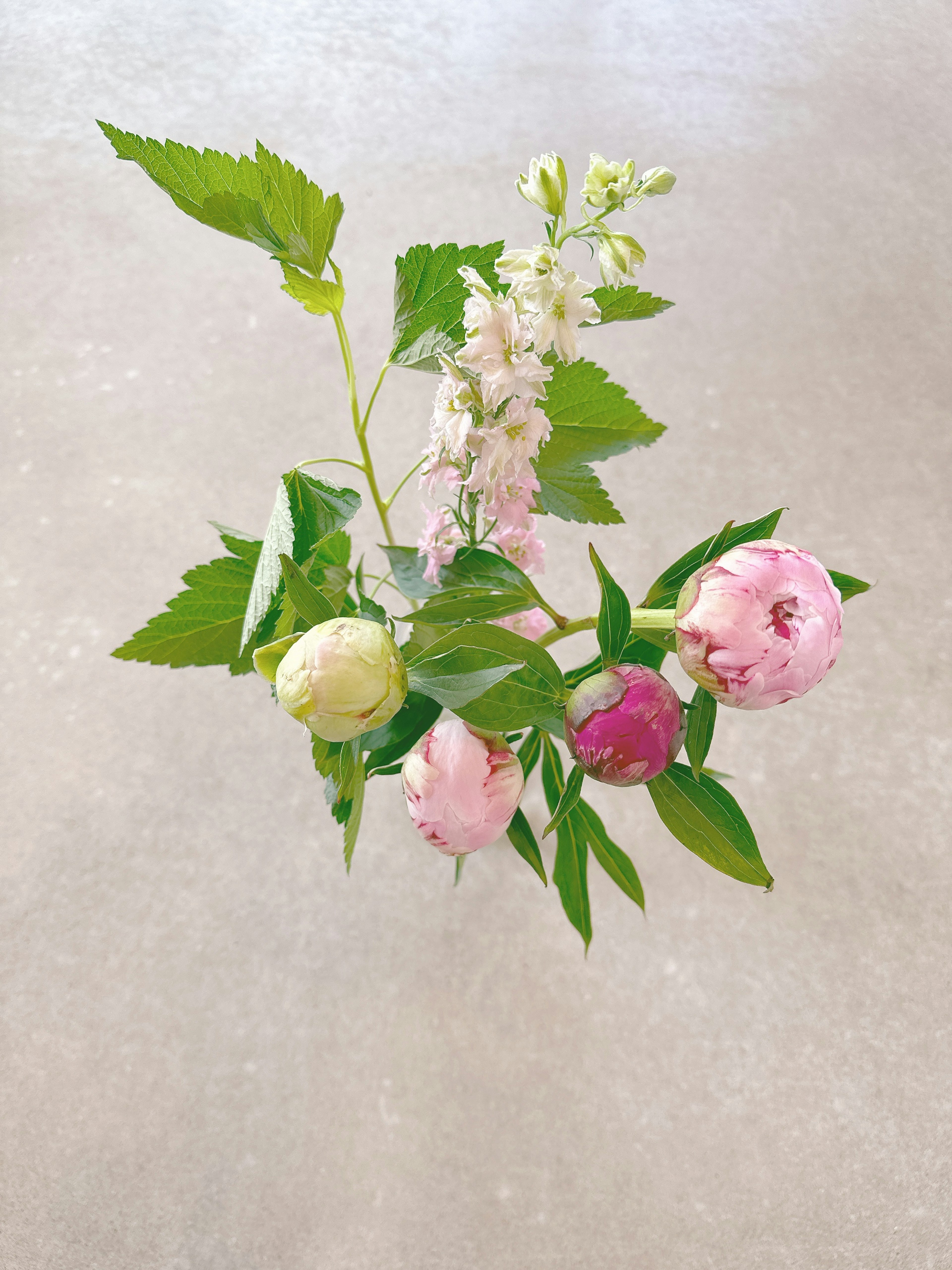 A bouquet featuring colorful flowers and green leaves