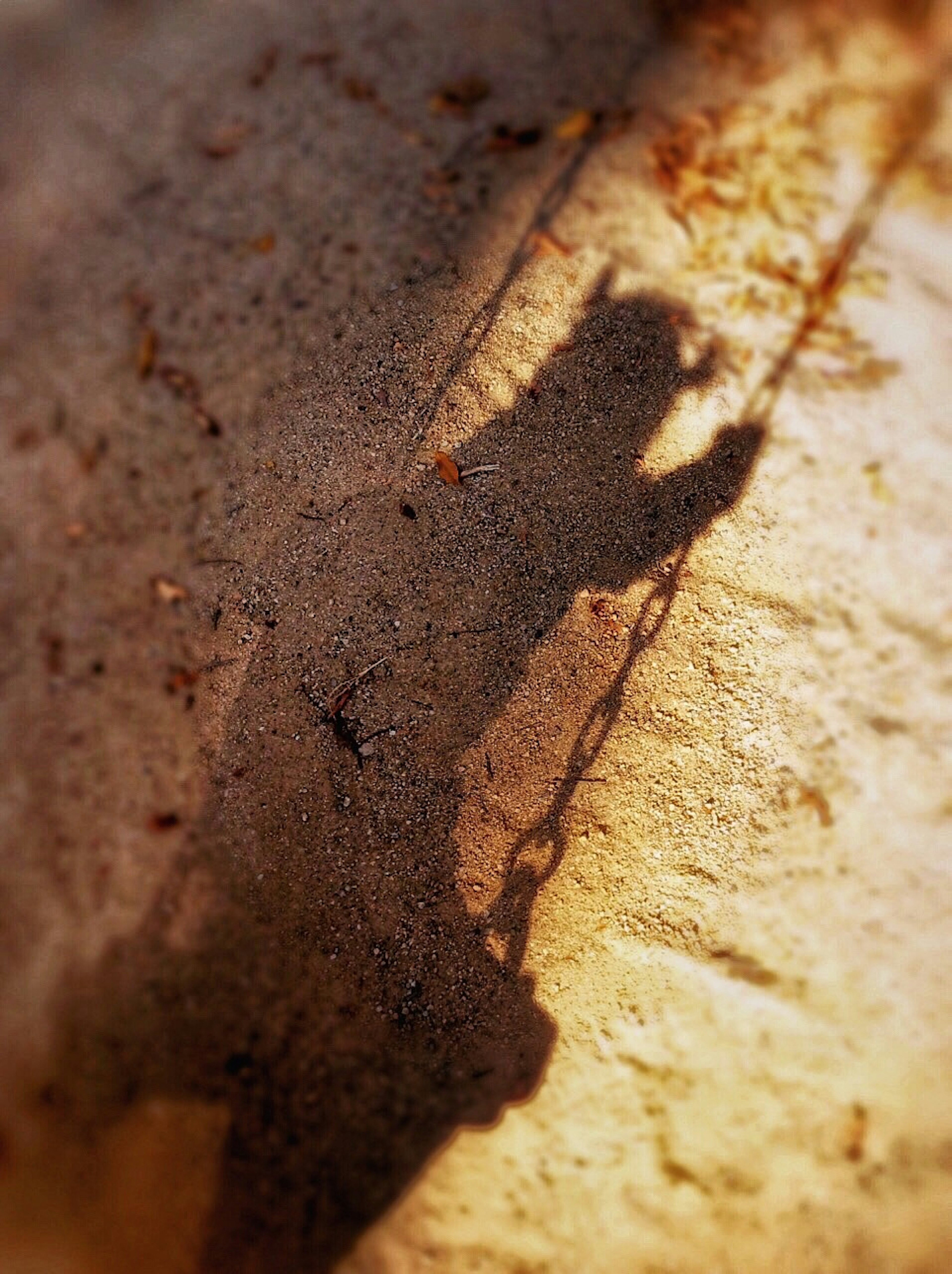 Shadow of a person swinging on a swing