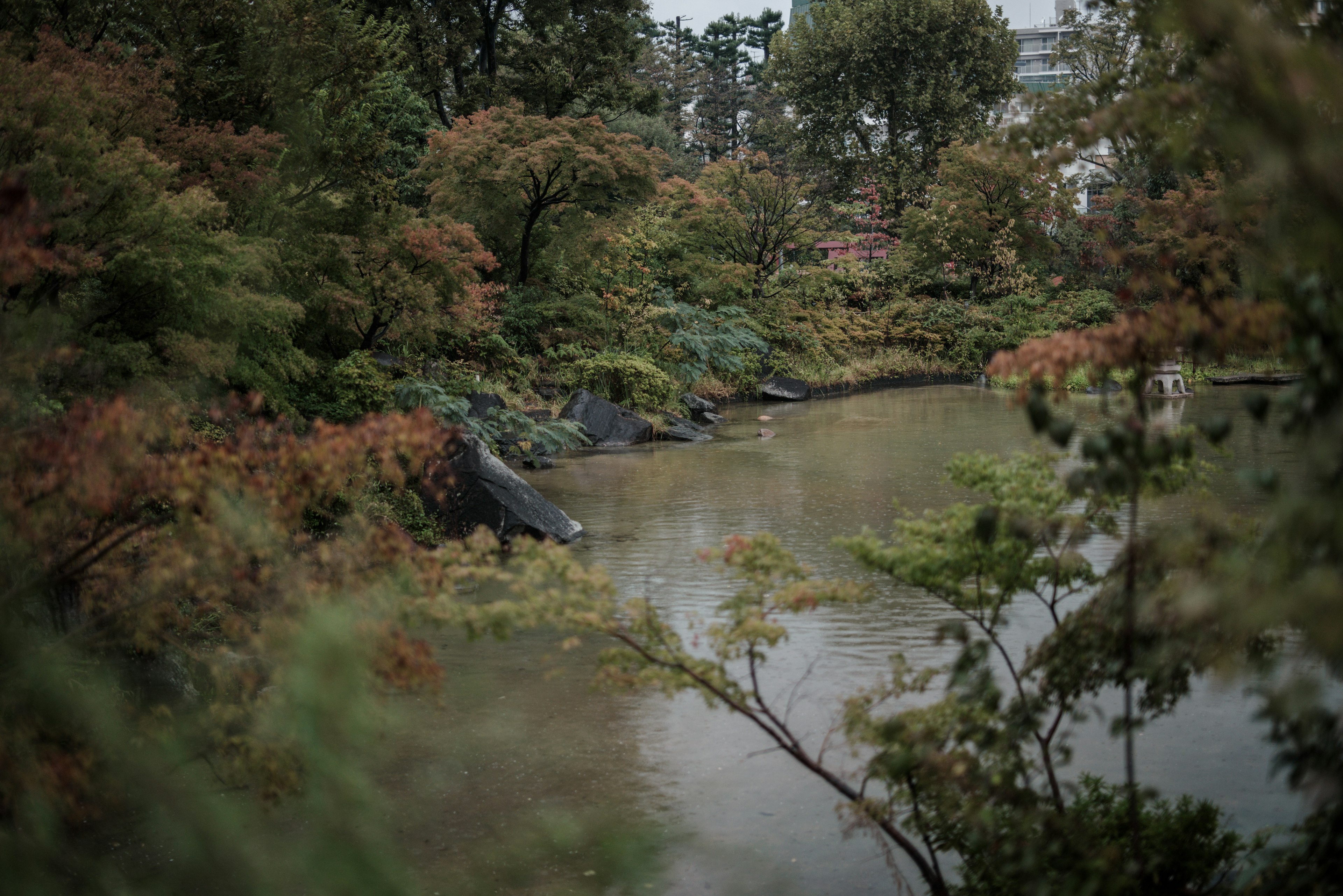 宁静的池塘被五彩斑斓的树叶环绕