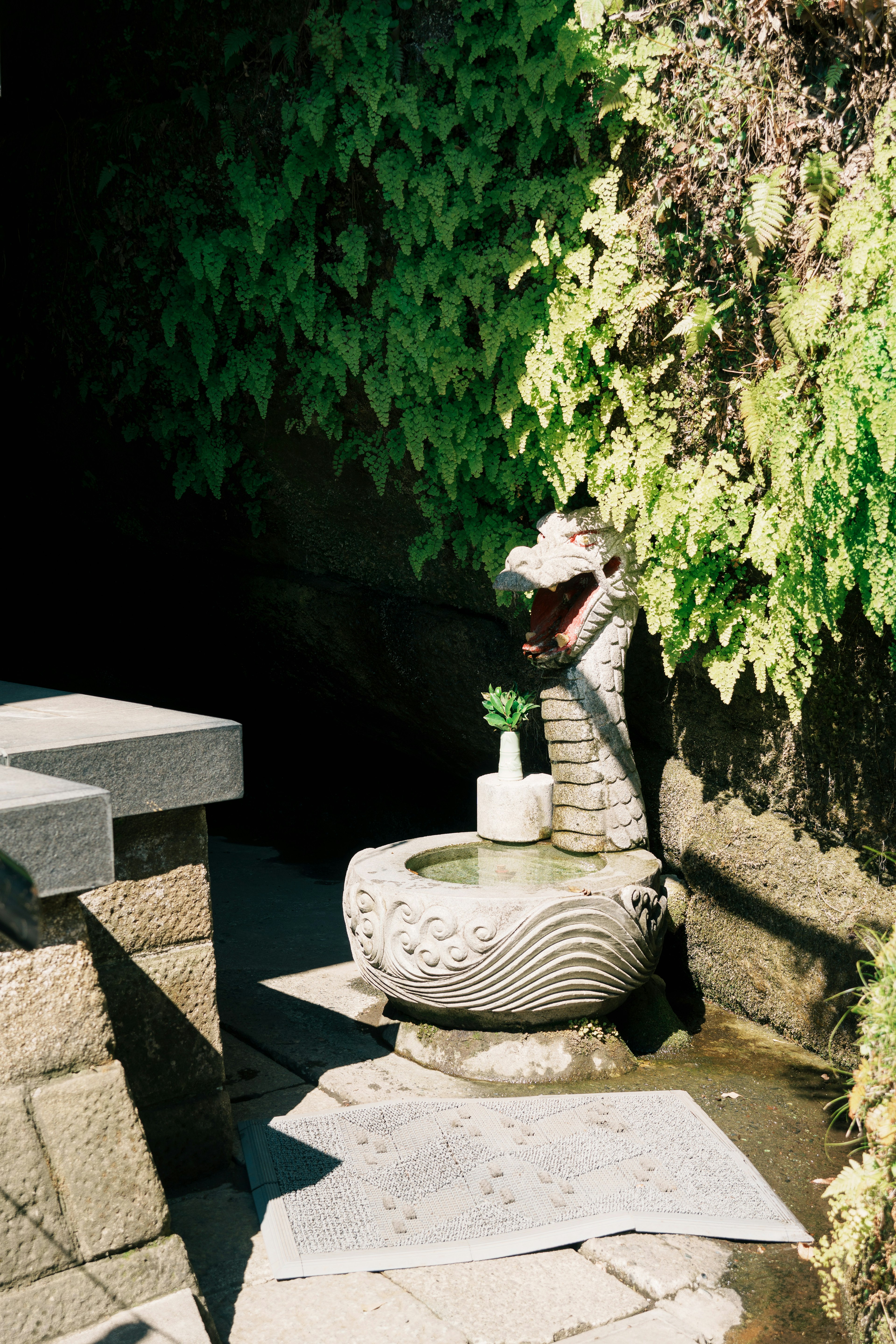 Steinbrunnen mit Drachenskulptur umgeben von grünen Blättern