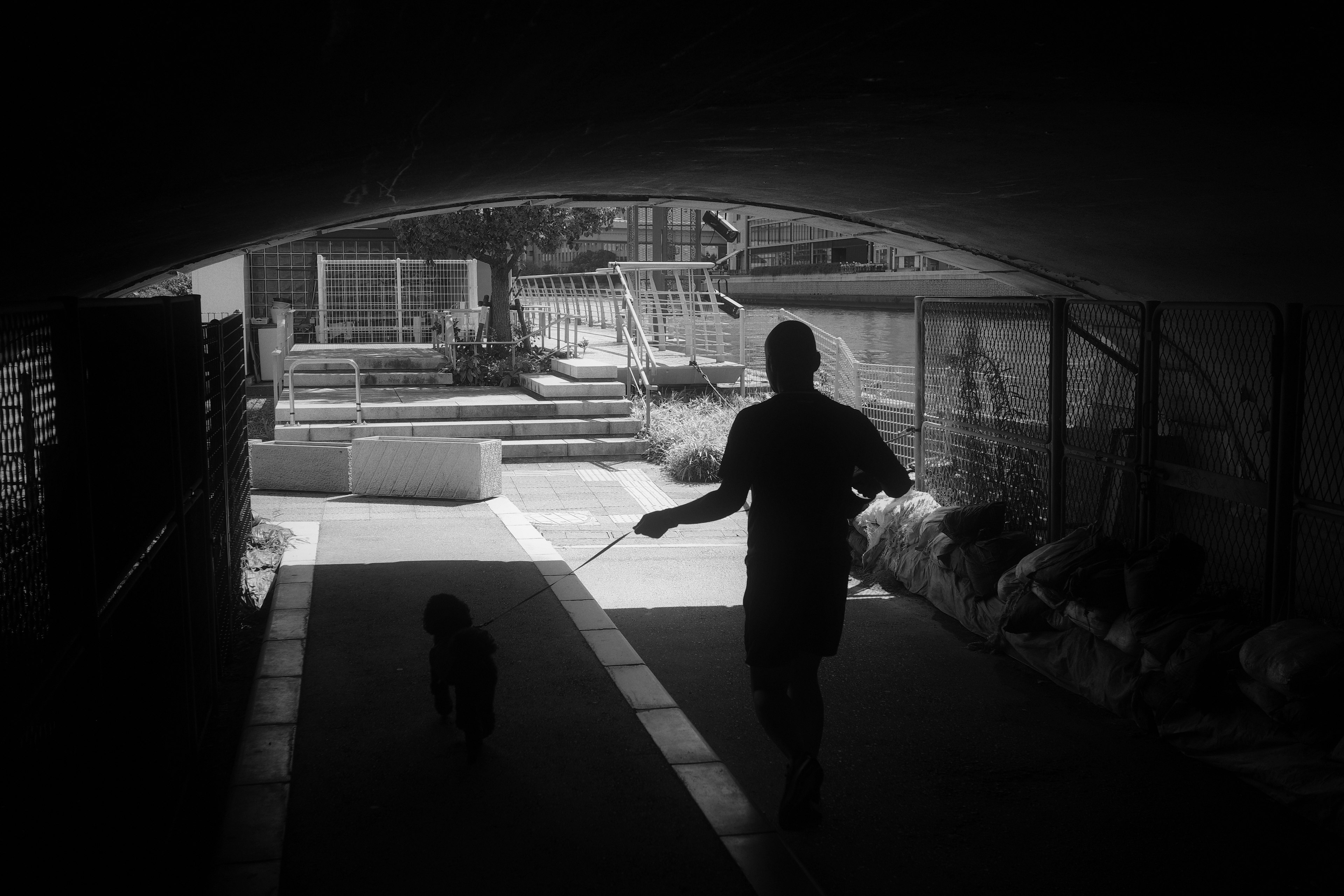 Silhouette of a man walking with a dog in a tunnel