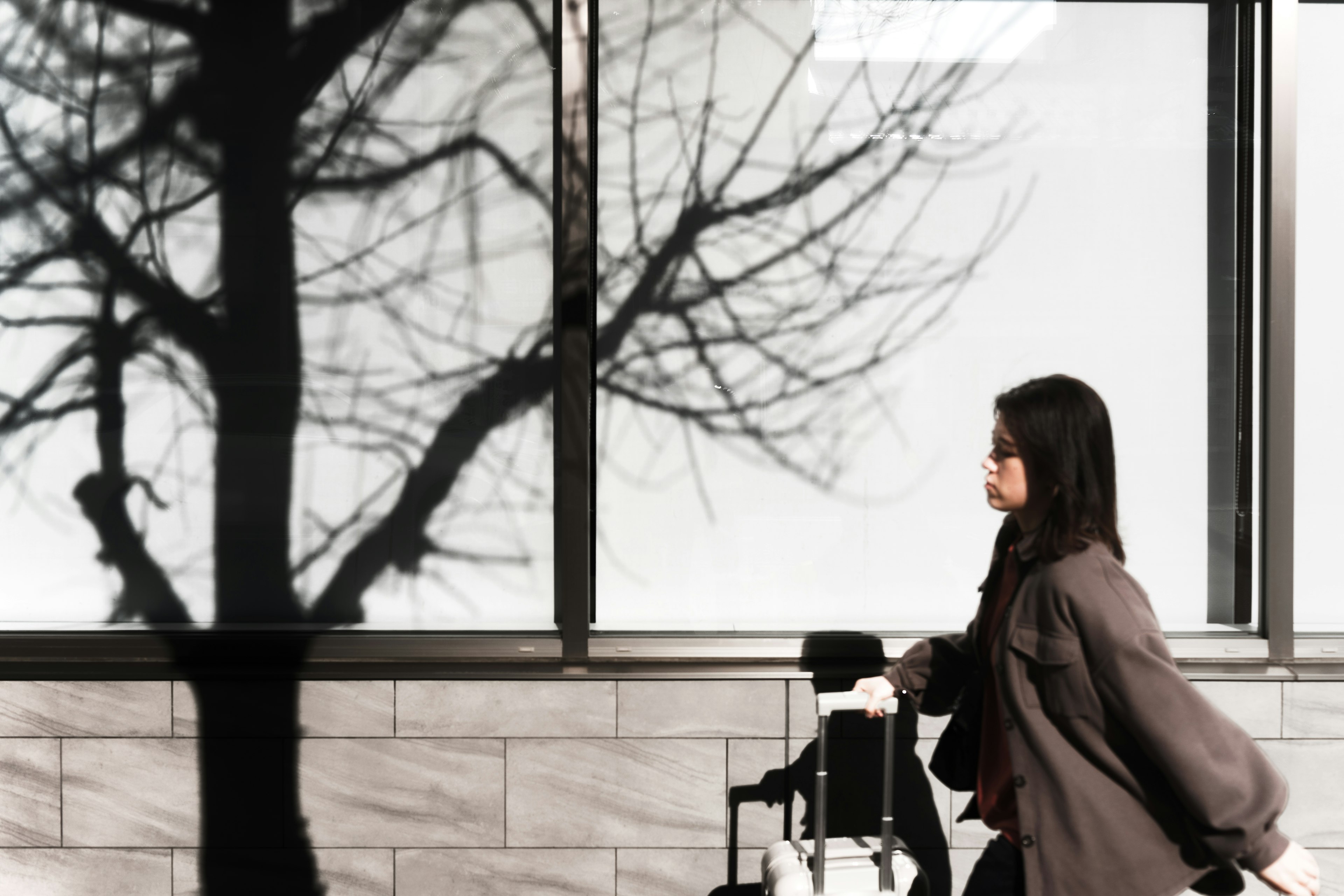 A woman walking in front of a window with a tree shadow